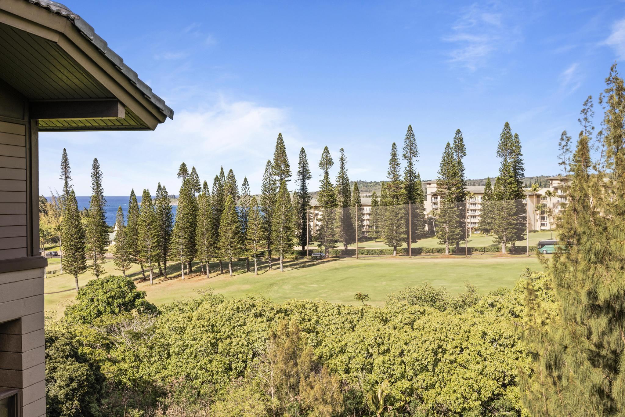 Kapalua Ridge condo # 723, Lahaina, Hawaii - photo 12 of 45