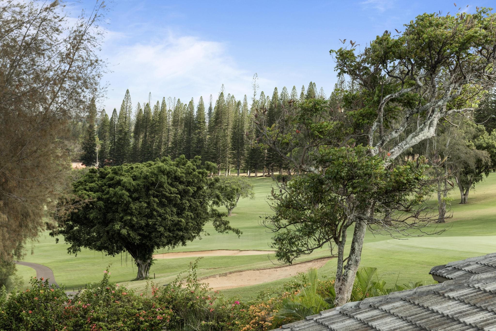 Kapalua Ridge condo # 723, Lahaina, Hawaii - photo 13 of 45