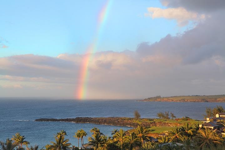 Kapalua Ridge condo # 723, Lahaina, Hawaii - photo 43 of 45