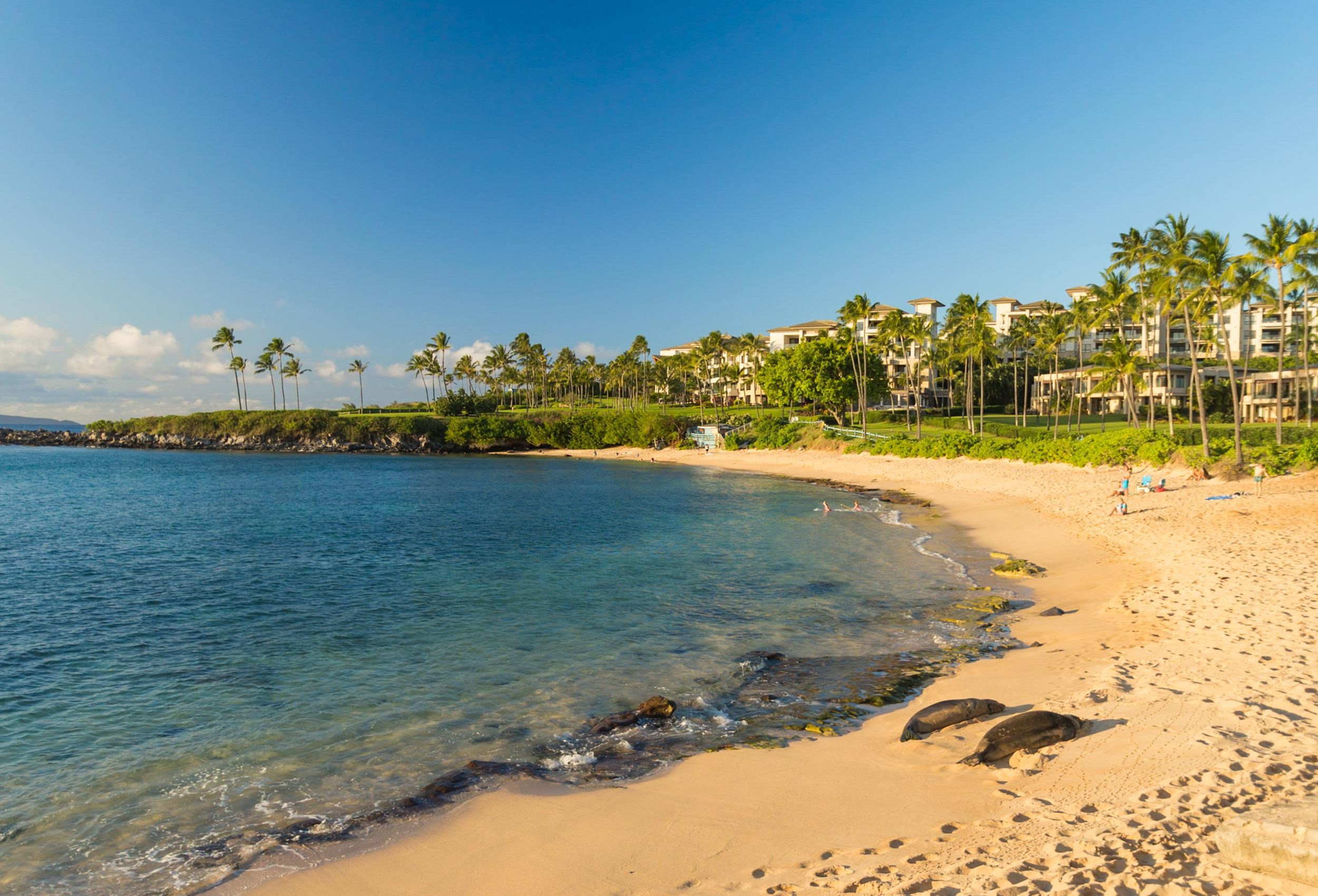 Kapalua Ridge condo # 723, Lahaina, Hawaii - photo 44 of 45