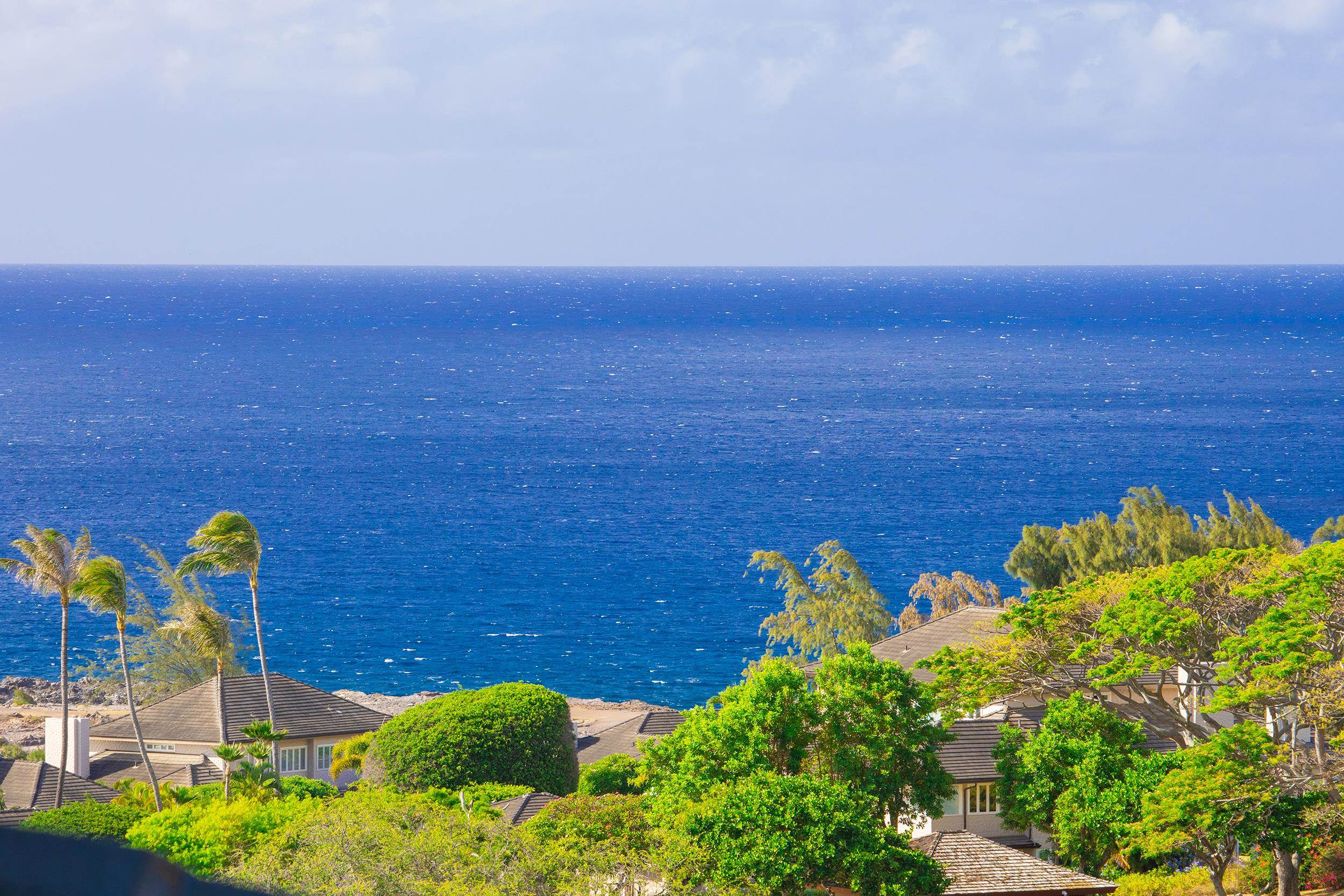 Kapalua Ridge condo # 723, Lahaina, Hawaii - photo 46 of 48