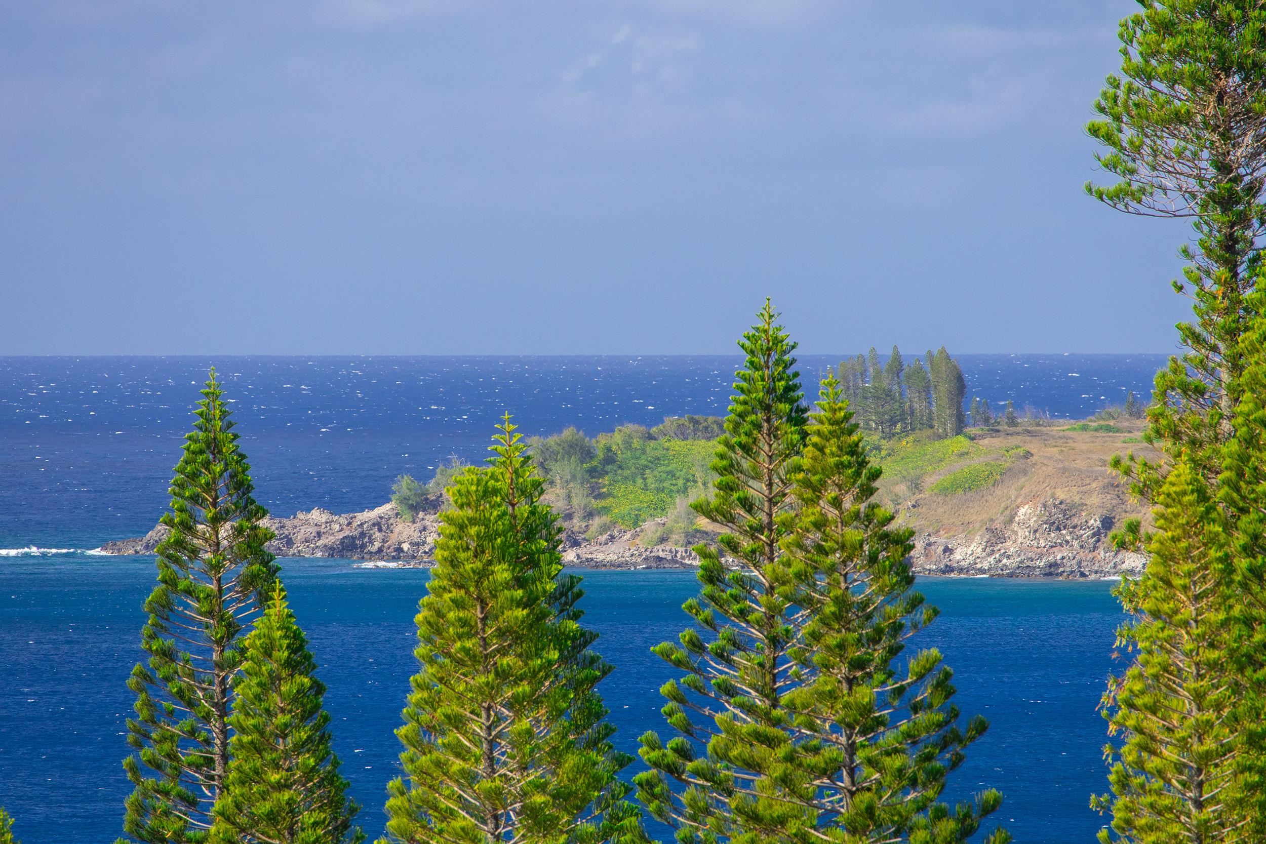 Kapalua Ridge condo # 723, Lahaina, Hawaii - photo 47 of 48