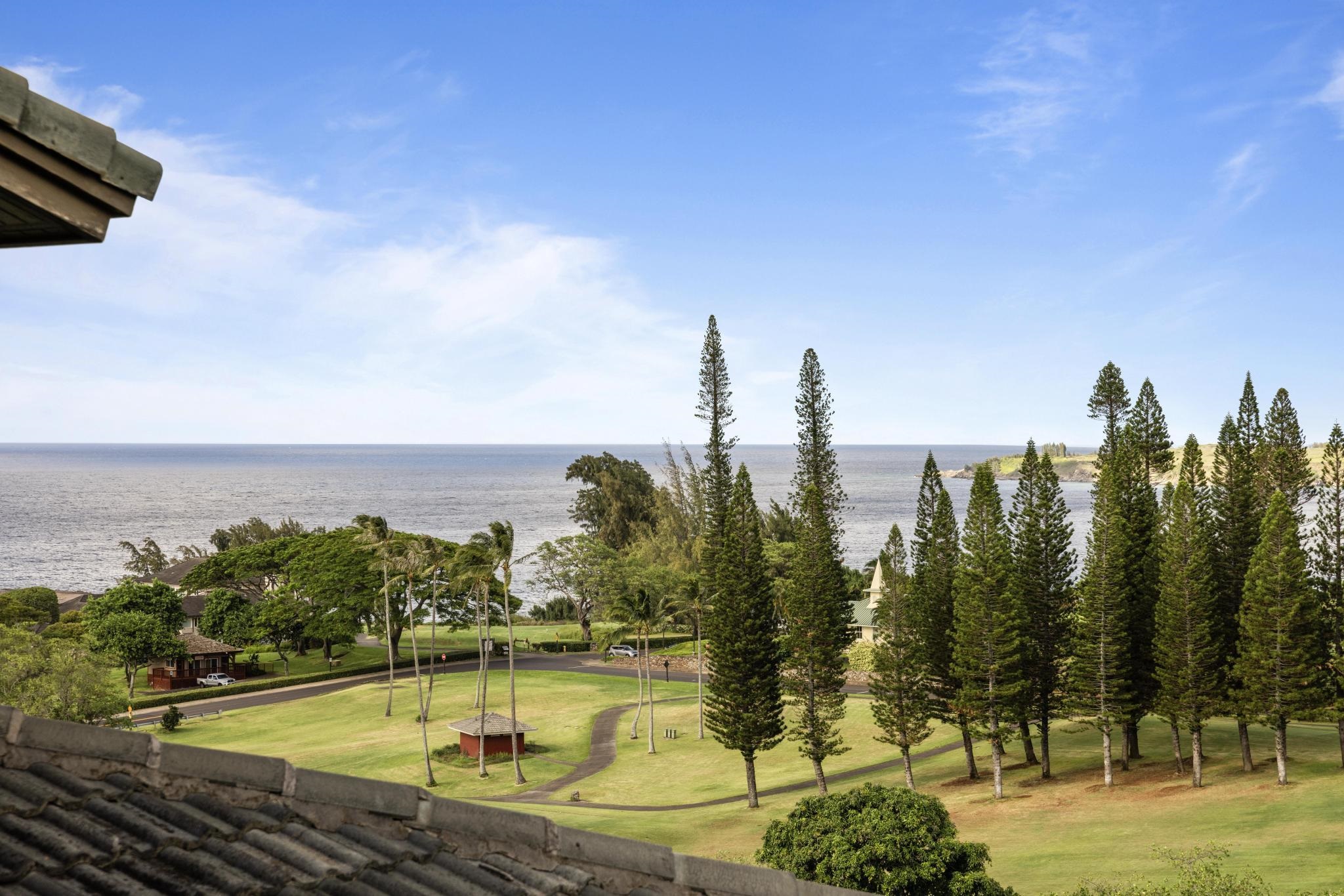 Kapalua Ridge condo # 723, Lahaina, Hawaii - photo 8 of 45