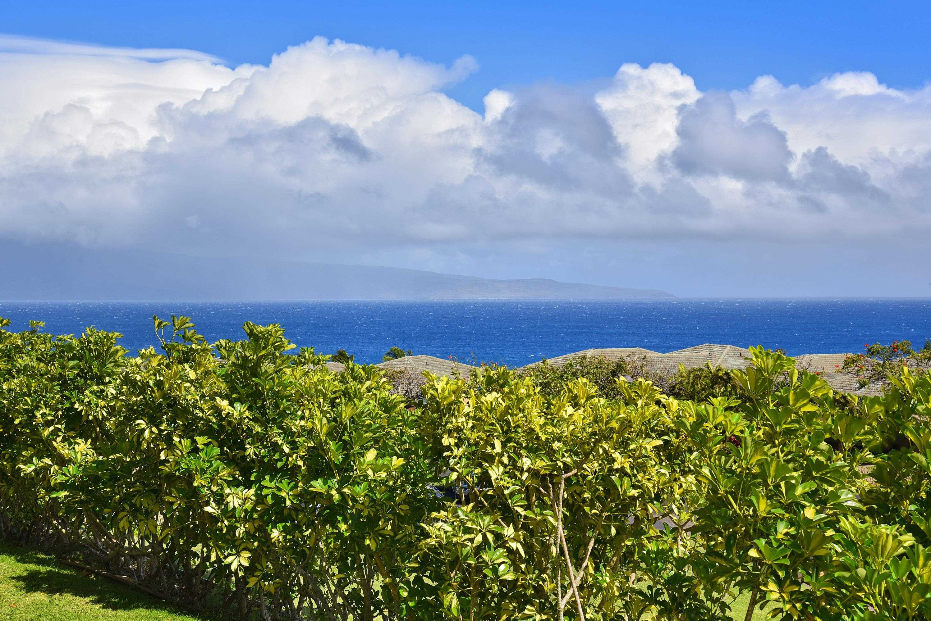 Kapalua Ridge condo # 815, Lahaina, Hawaii - photo 19 of 36