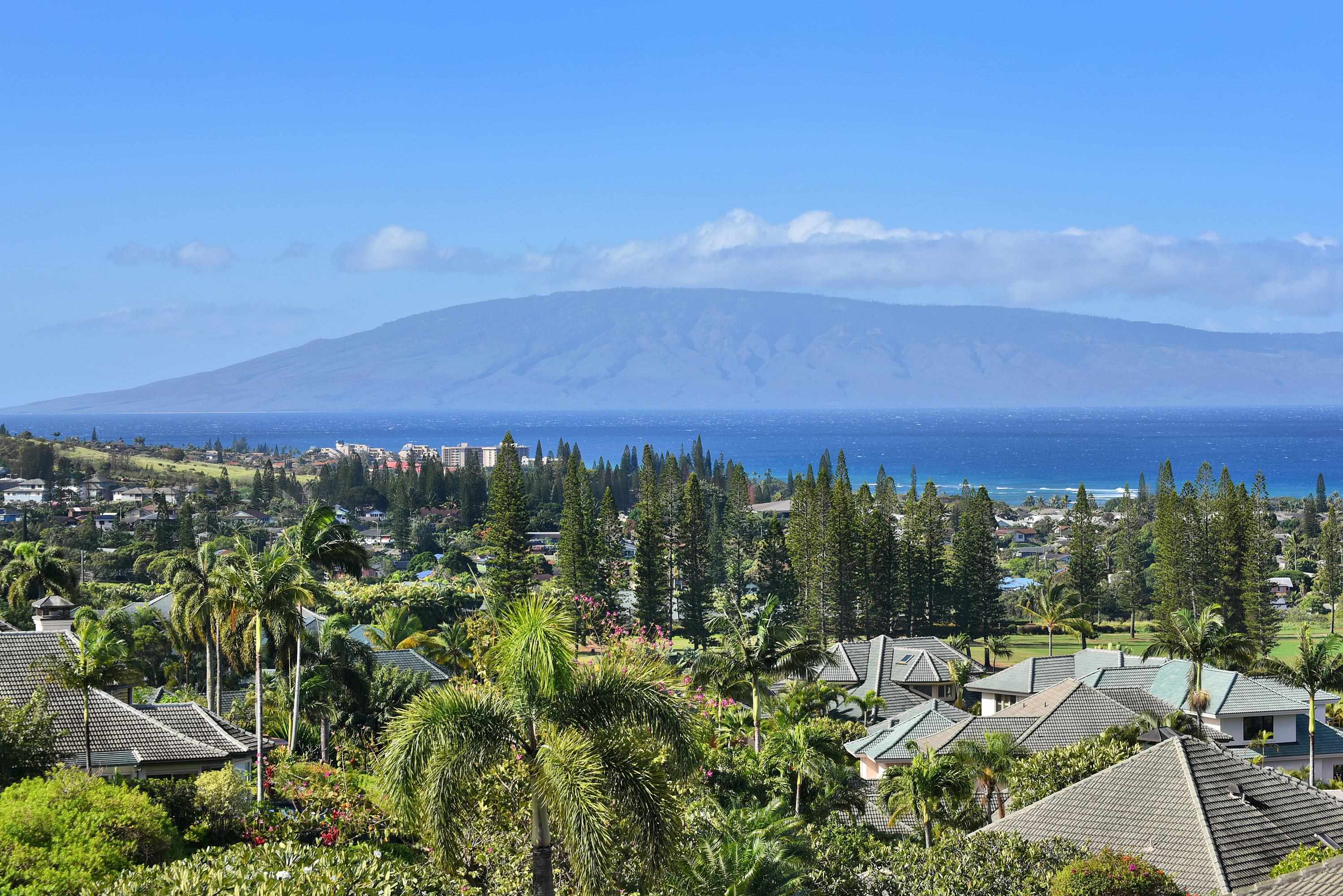 100  Woodrose Pl Kapalua, Kapalua home - photo 41 of 50