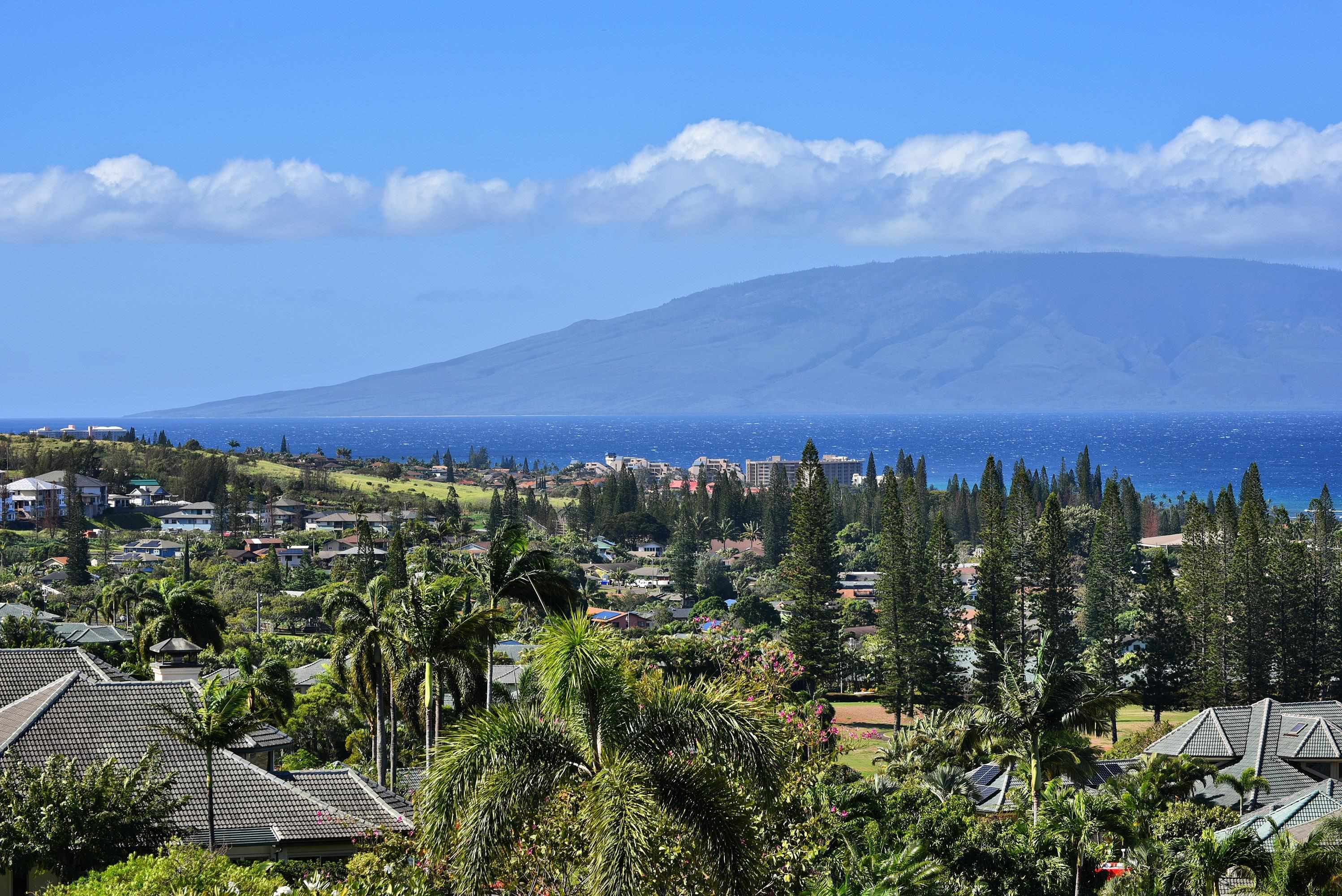 100  Woodrose Pl Kapalua, Kapalua home - photo 42 of 50