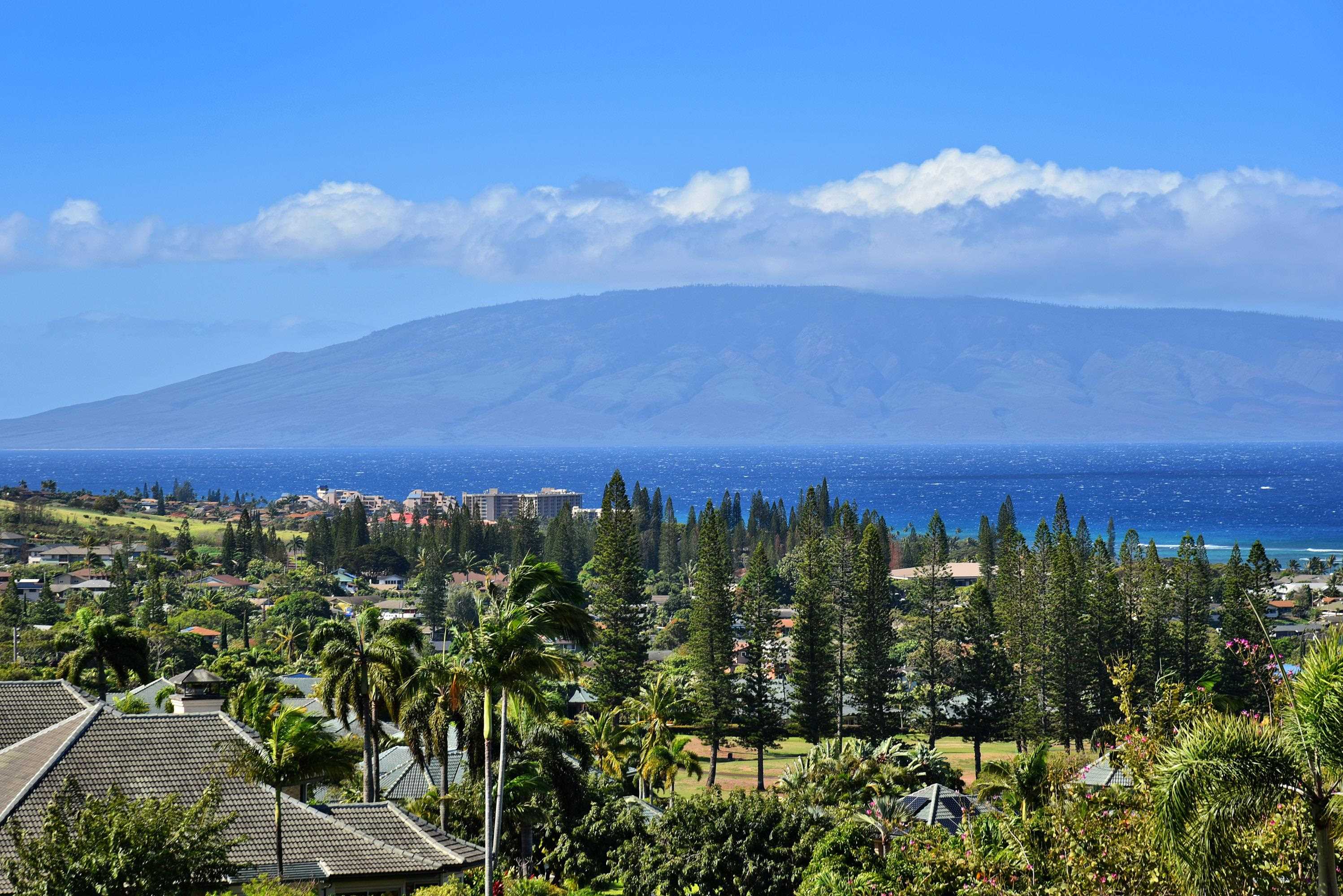 100  Woodrose Pl Kapalua, Kapalua home - photo 43 of 50