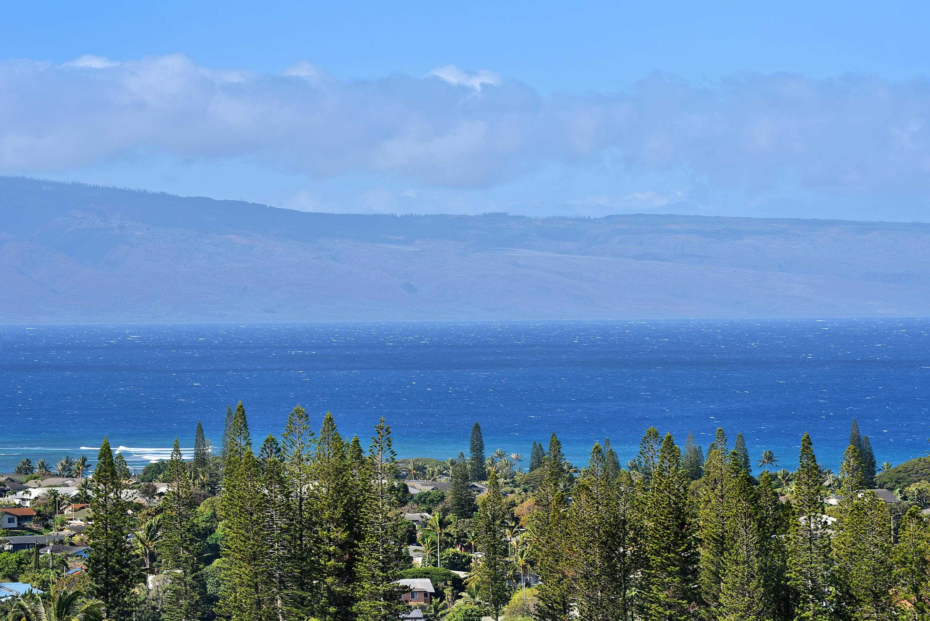 100  Woodrose Pl Kapalua, Kapalua home - photo 44 of 50