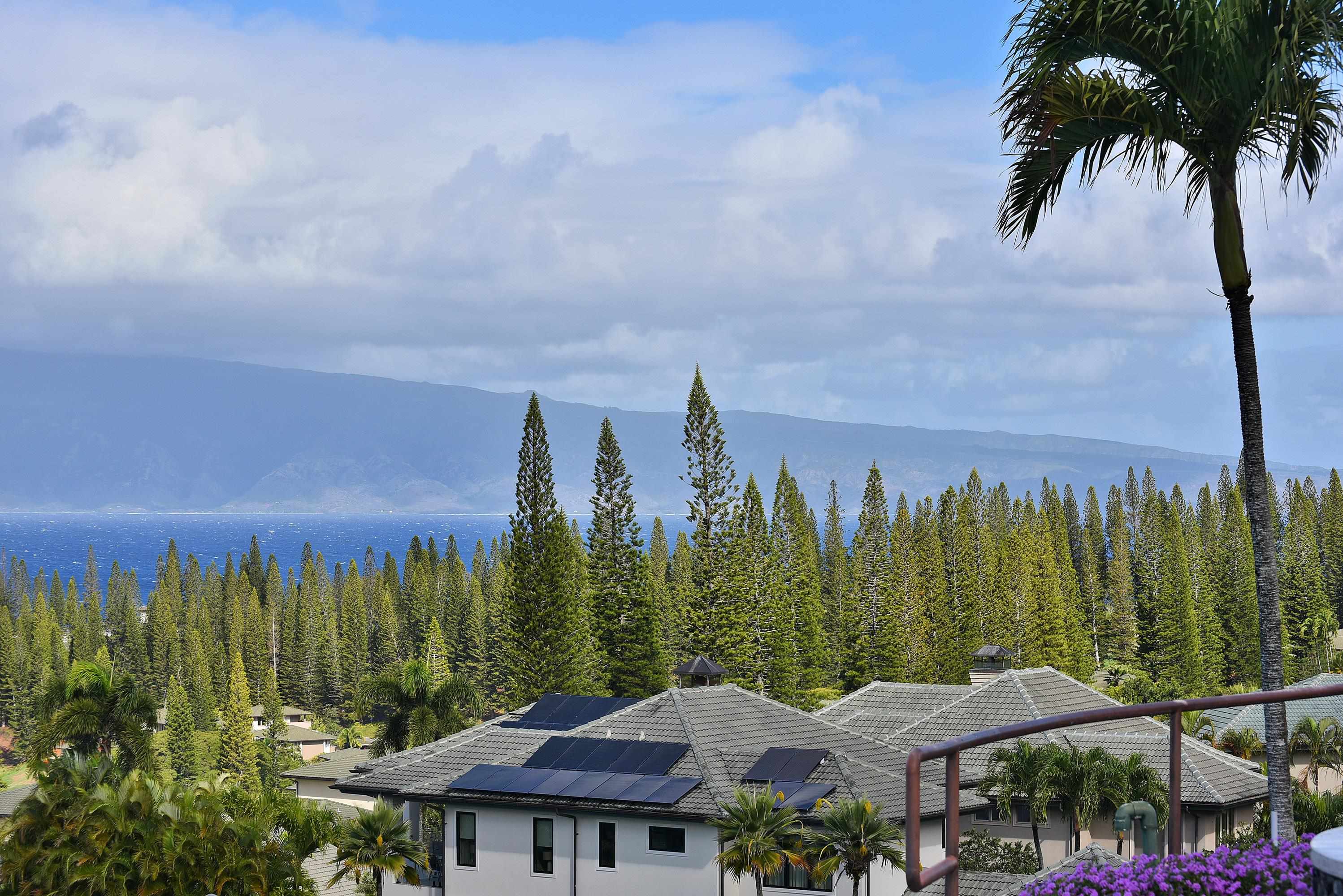 100  Woodrose Pl Kapalua, Kapalua home - photo 45 of 50