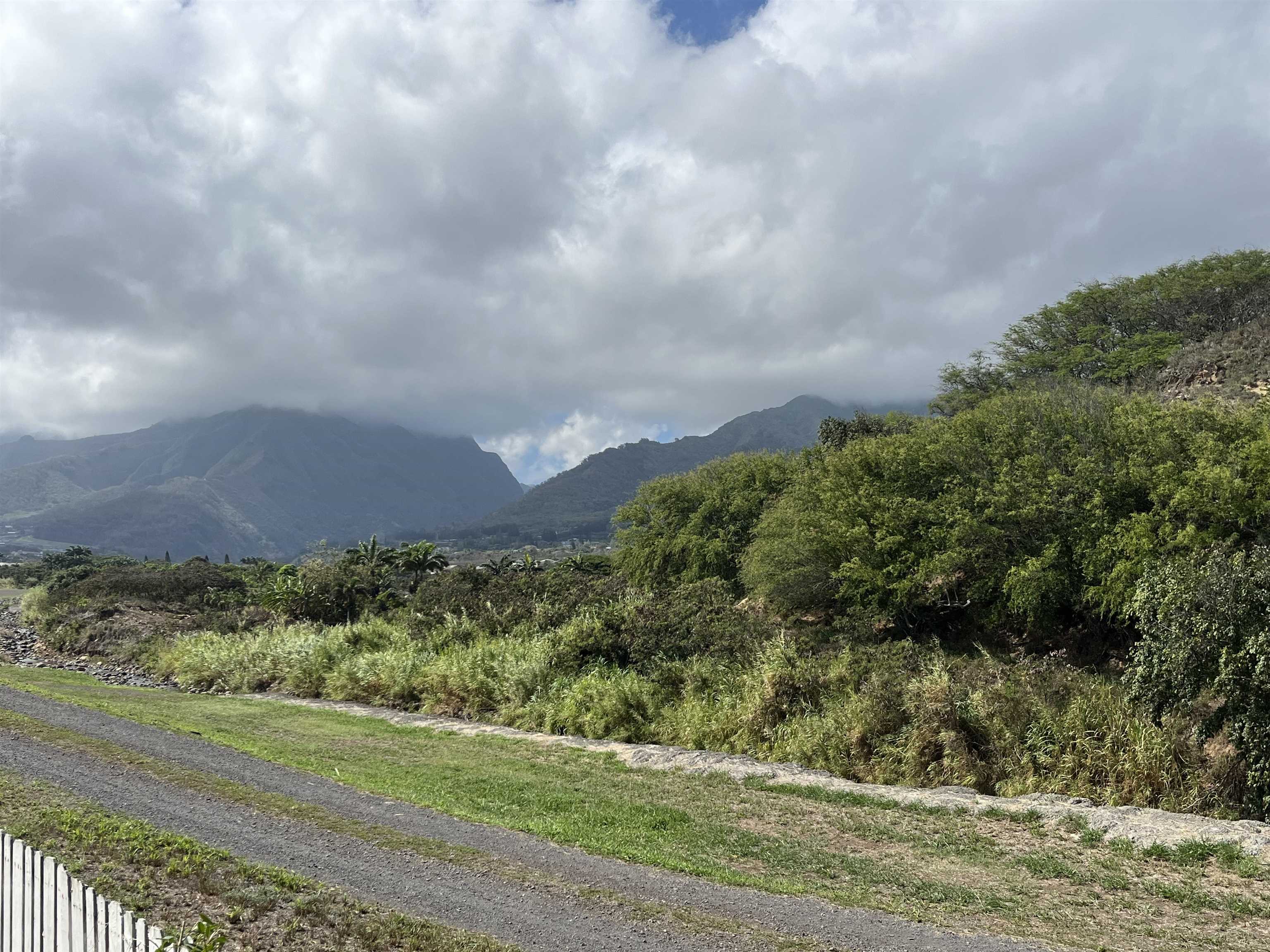 Iao Parkside II condo # 21-205, Wailuku, Hawaii - photo 15 of 17