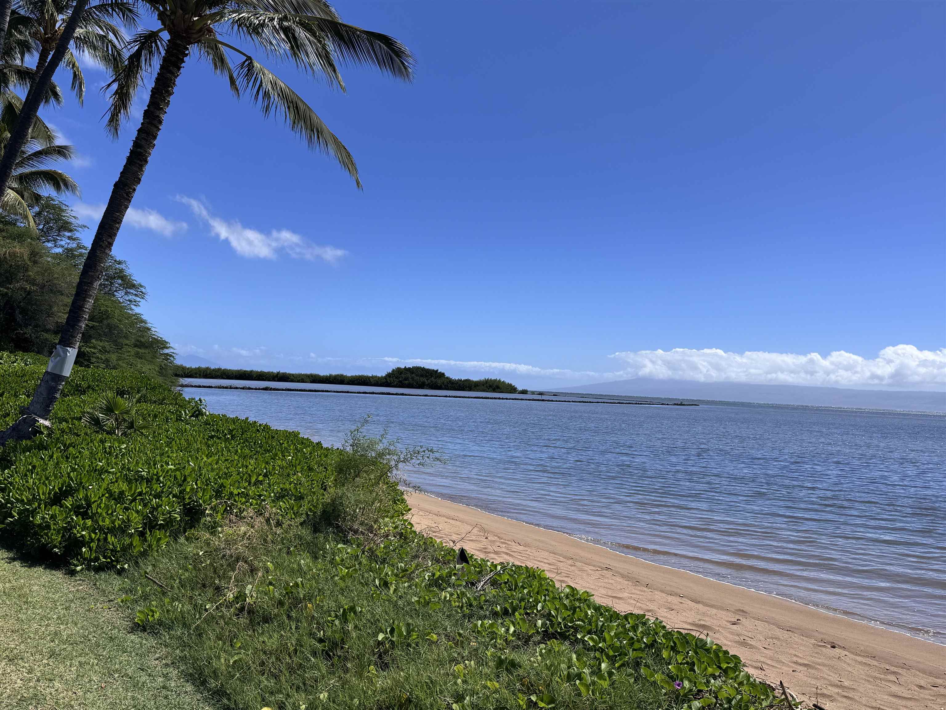 Molokai Shores condo # 227B, Kaunakakai, Hawaii - photo 19 of 23