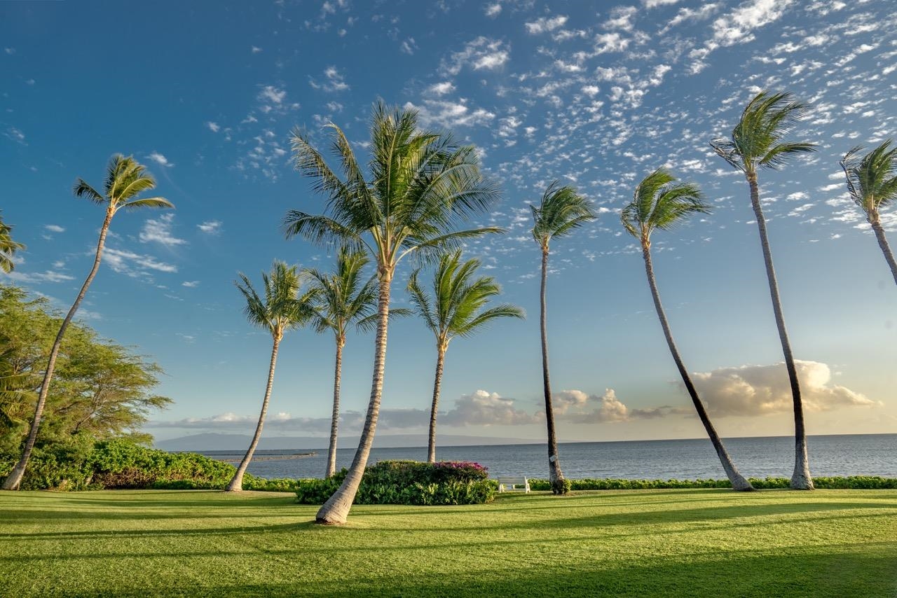 Molokai Shores condo # 229C, Kaunakakai, Hawaii - photo 20 of 23