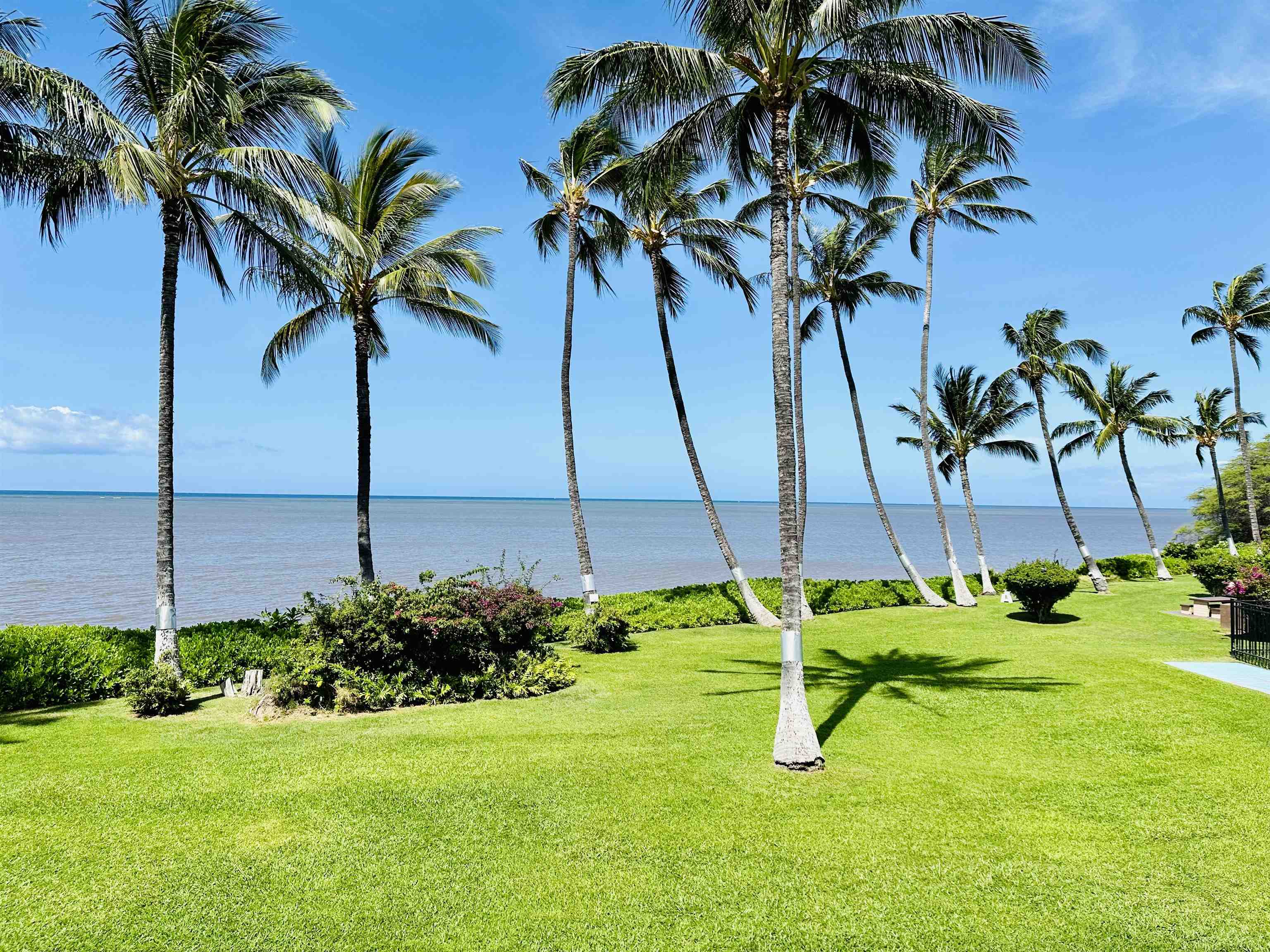Molokai Shores condo # 232C, Kaunakakai, Hawaii - photo 2 of 36