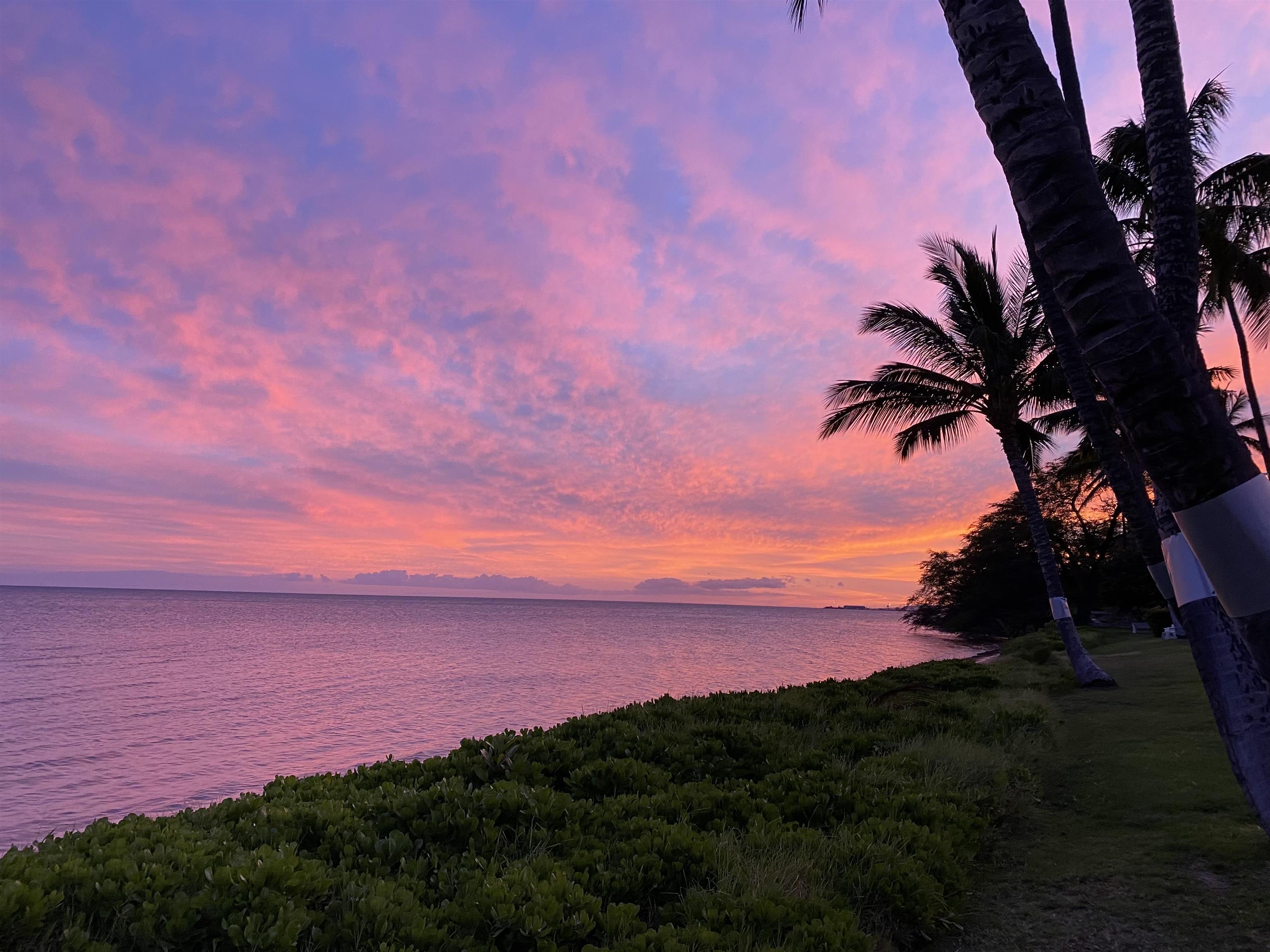Molokai Shores condo # 232C, Kaunakakai, Hawaii - photo 33 of 36