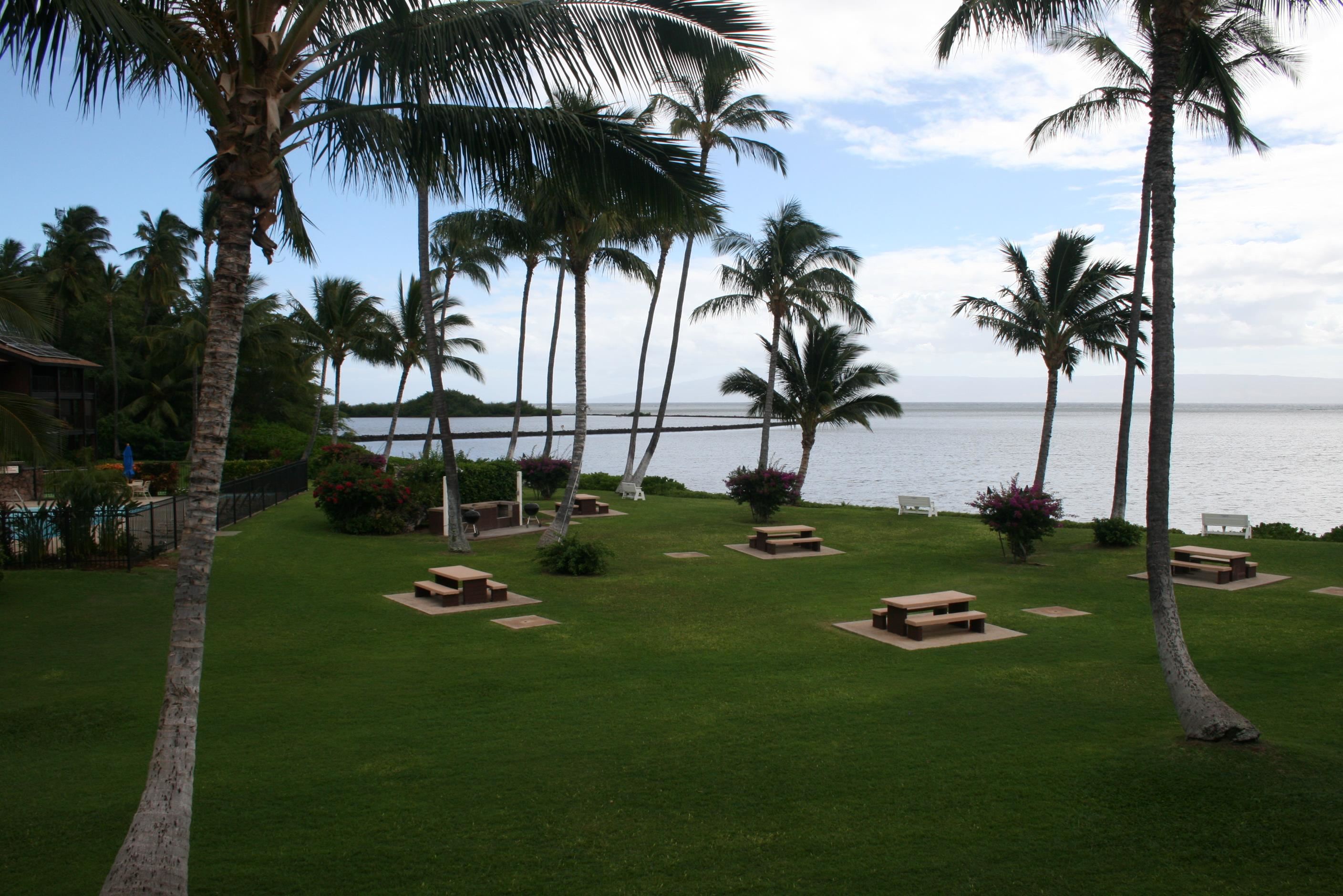 Molokai Shores condo # 319B, Kaunakakai, Hawaii - photo 26 of 27