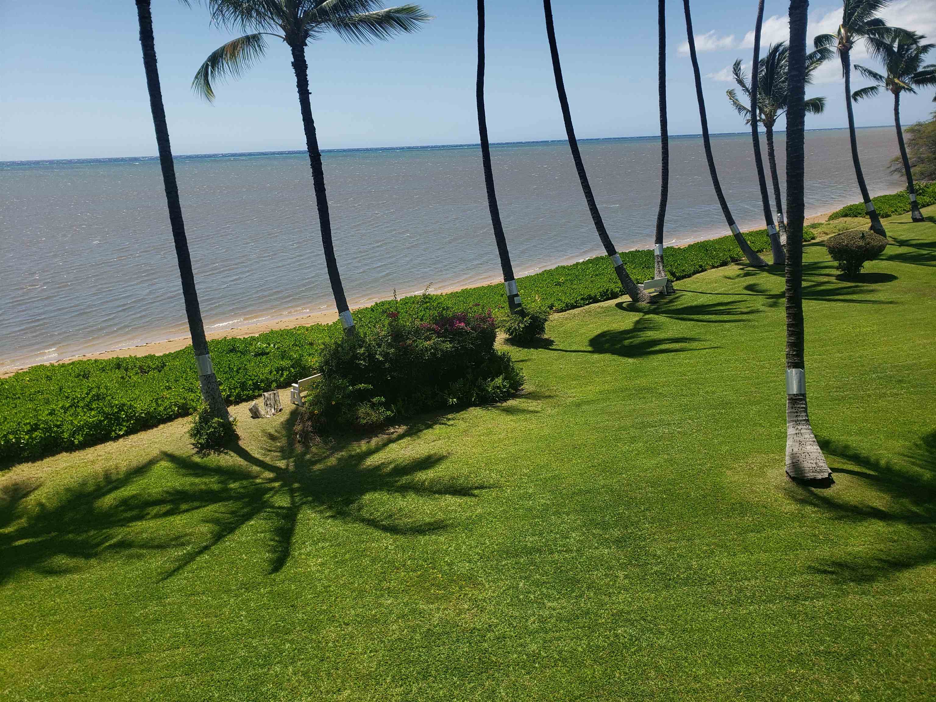 Molokai Shores condo # 333C, Kaunakakai, Hawaii - photo 13 of 14