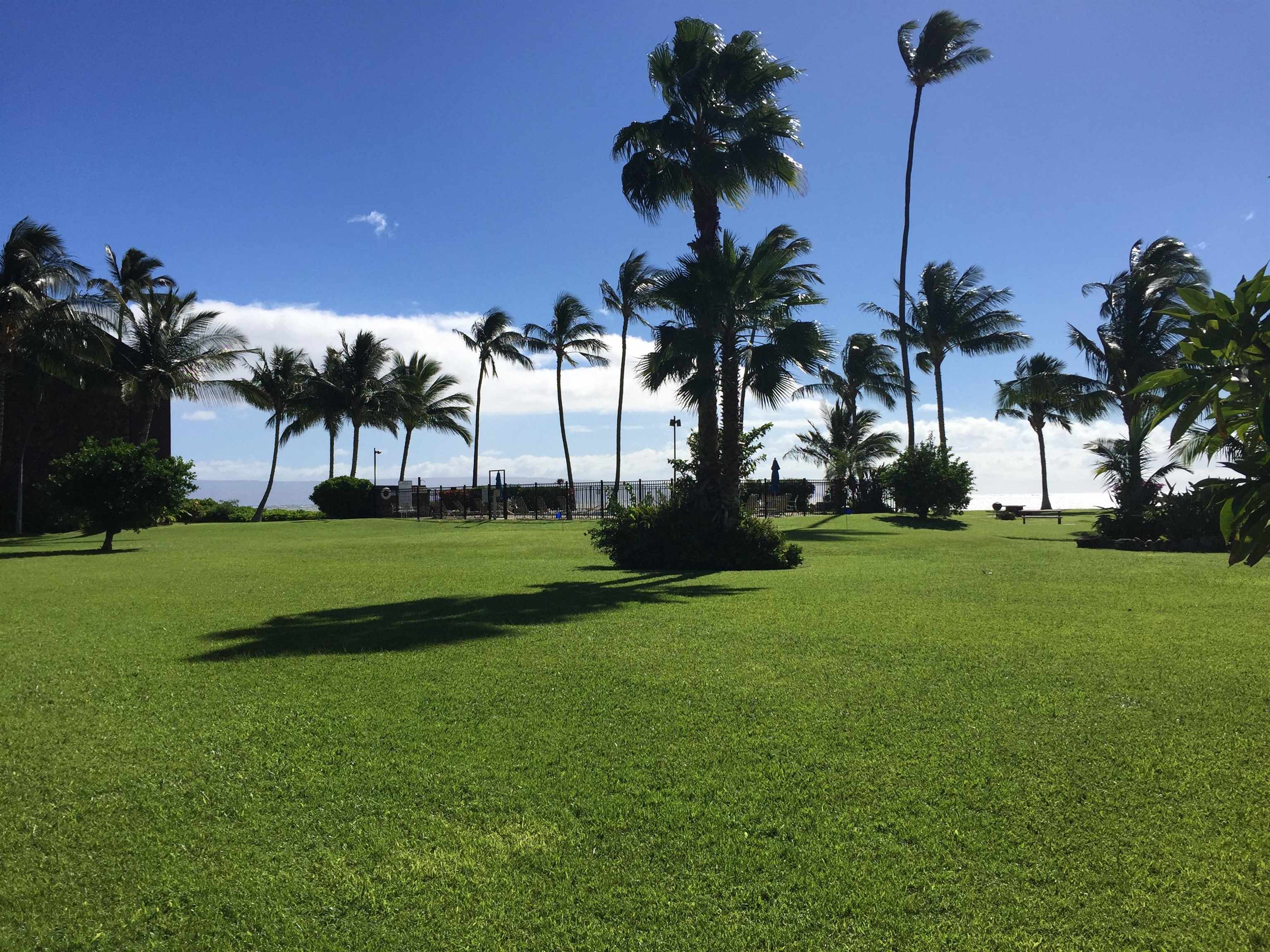 Molokai Shores condo # A205, Kaunakakai, Hawaii - photo 25 of 32