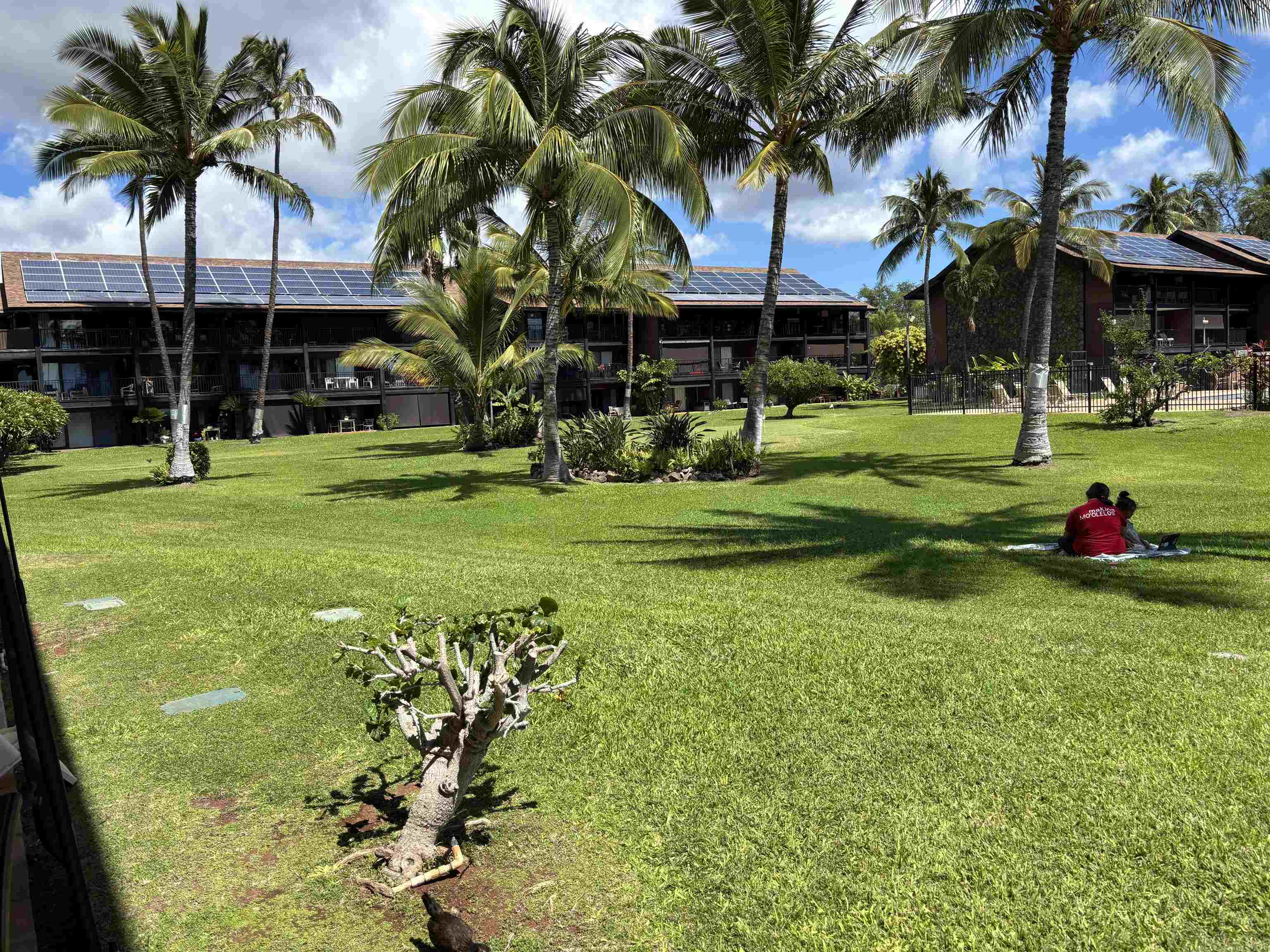 Molokai Shores condo # A-108, Kaunakakai, Hawaii - photo 2 of 11