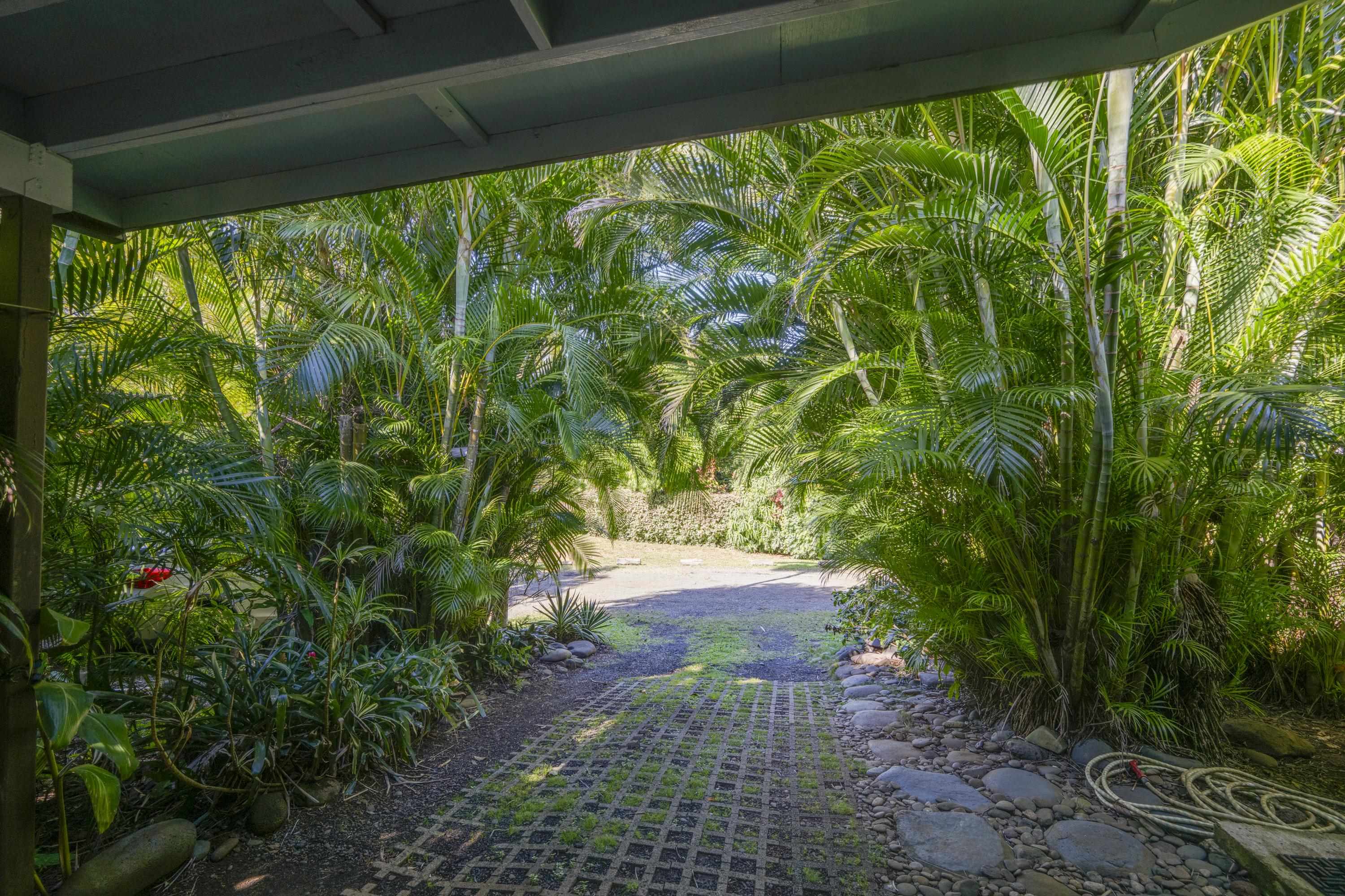 1002  Kauhikoa Rd Haiku, Haiku home - photo 3 of 24