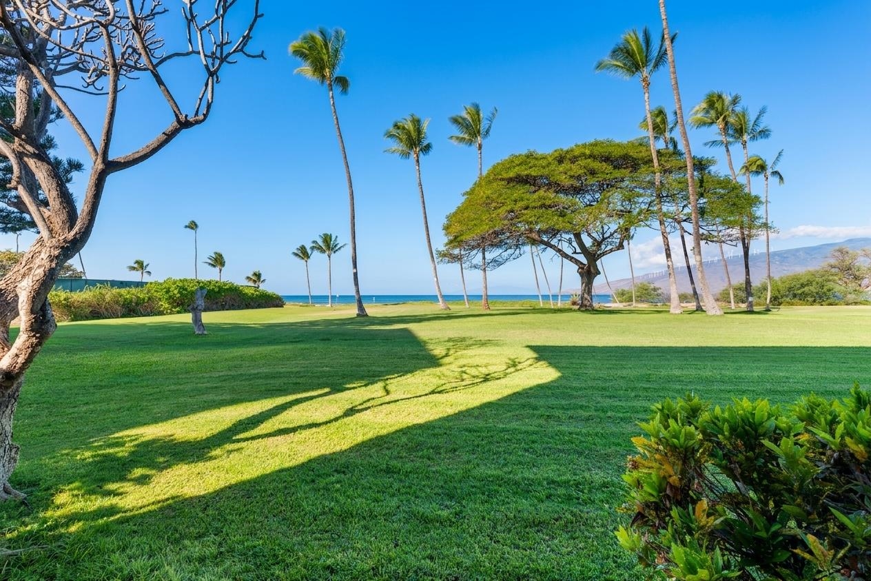 Waipuilani condo # 114, Kihei, Hawaii - photo 46 of 50