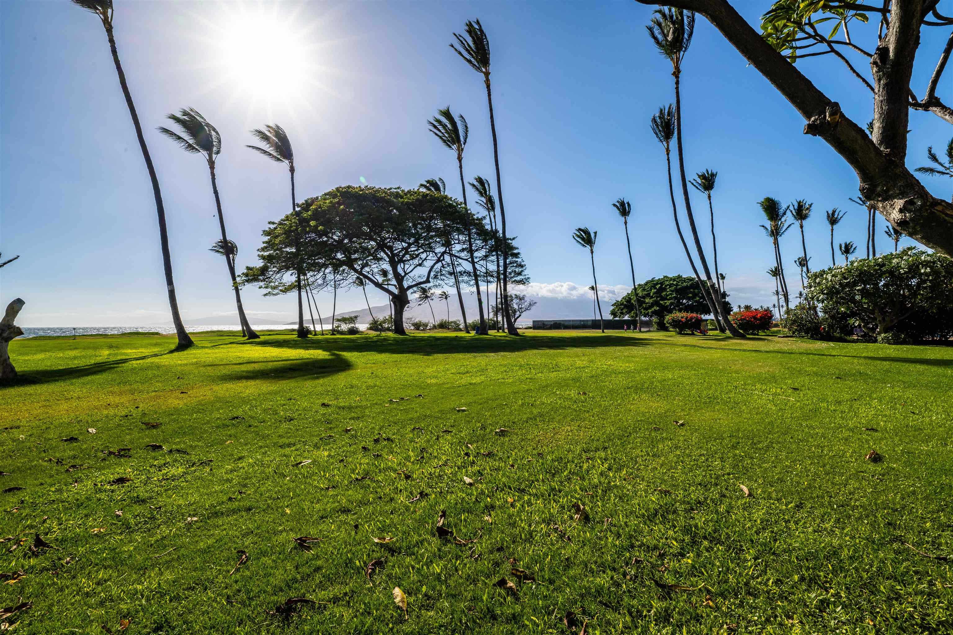 Waipuilani condo # 205, Kihei, Hawaii - photo 16 of 25