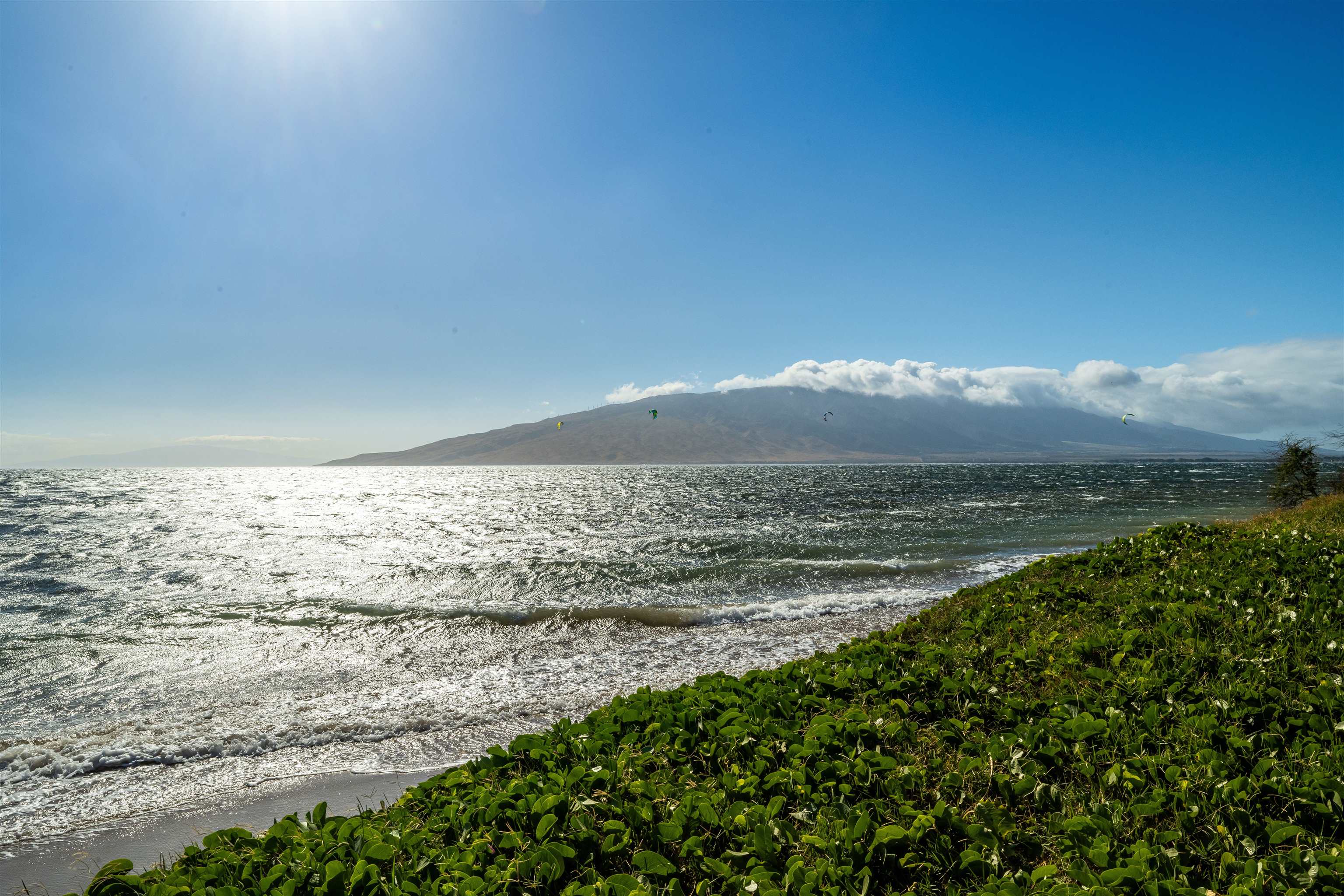 Waipuilani condo # 205, Kihei, Hawaii - photo 27 of 28