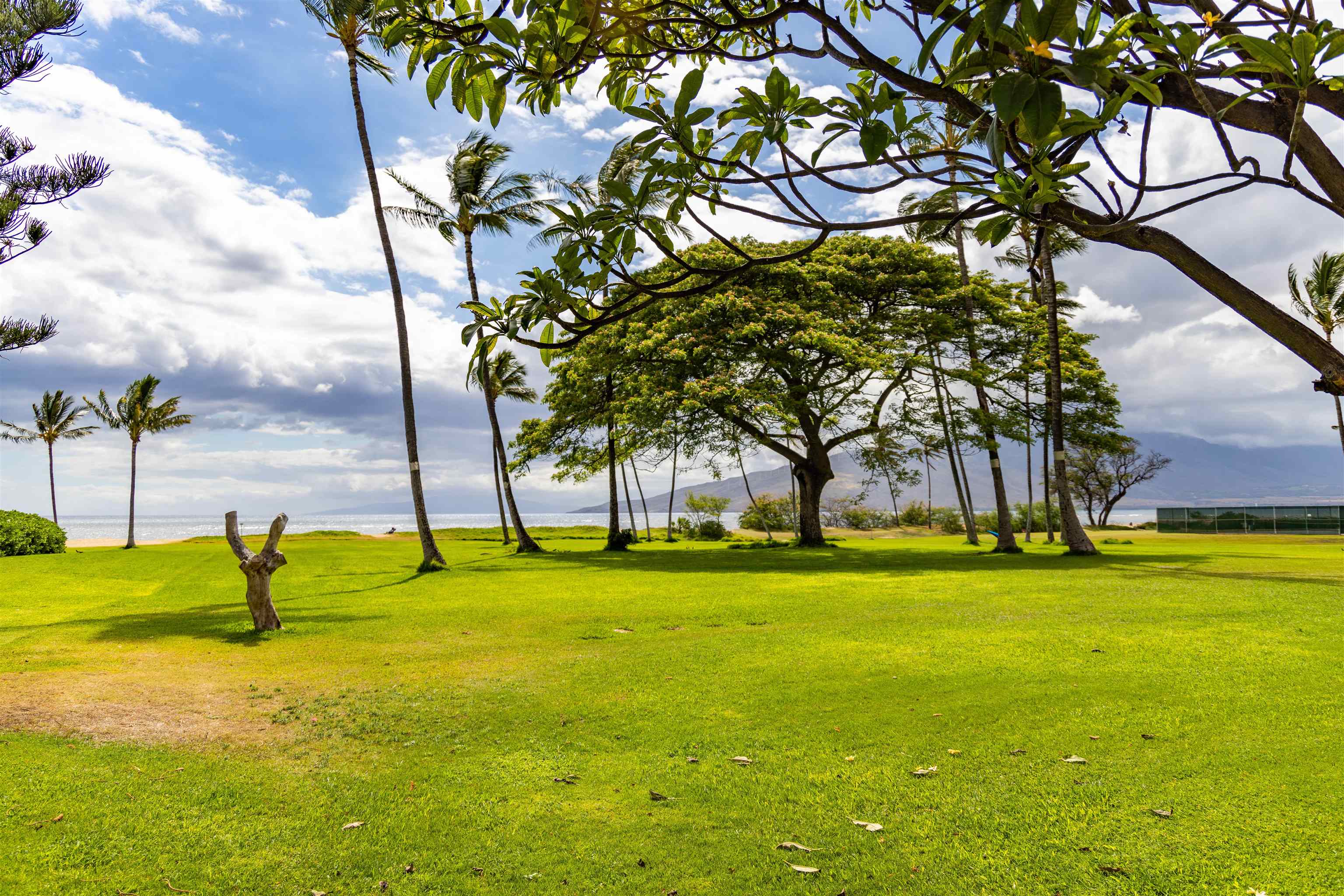 Waipuilani condo # 304, Kihei, Hawaii - photo 24 of 36