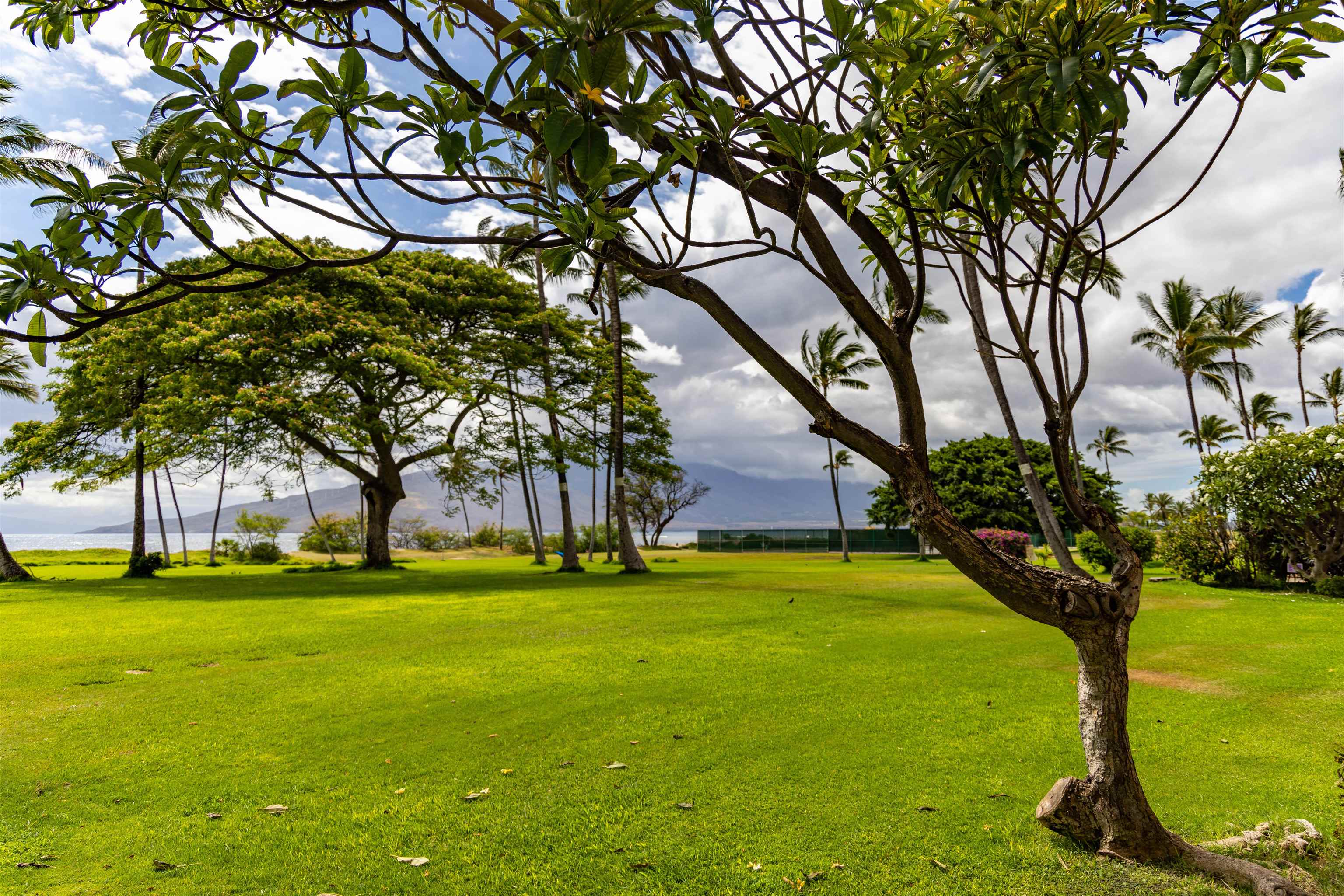Waipuilani condo # 304, Kihei, Hawaii - photo 25 of 36