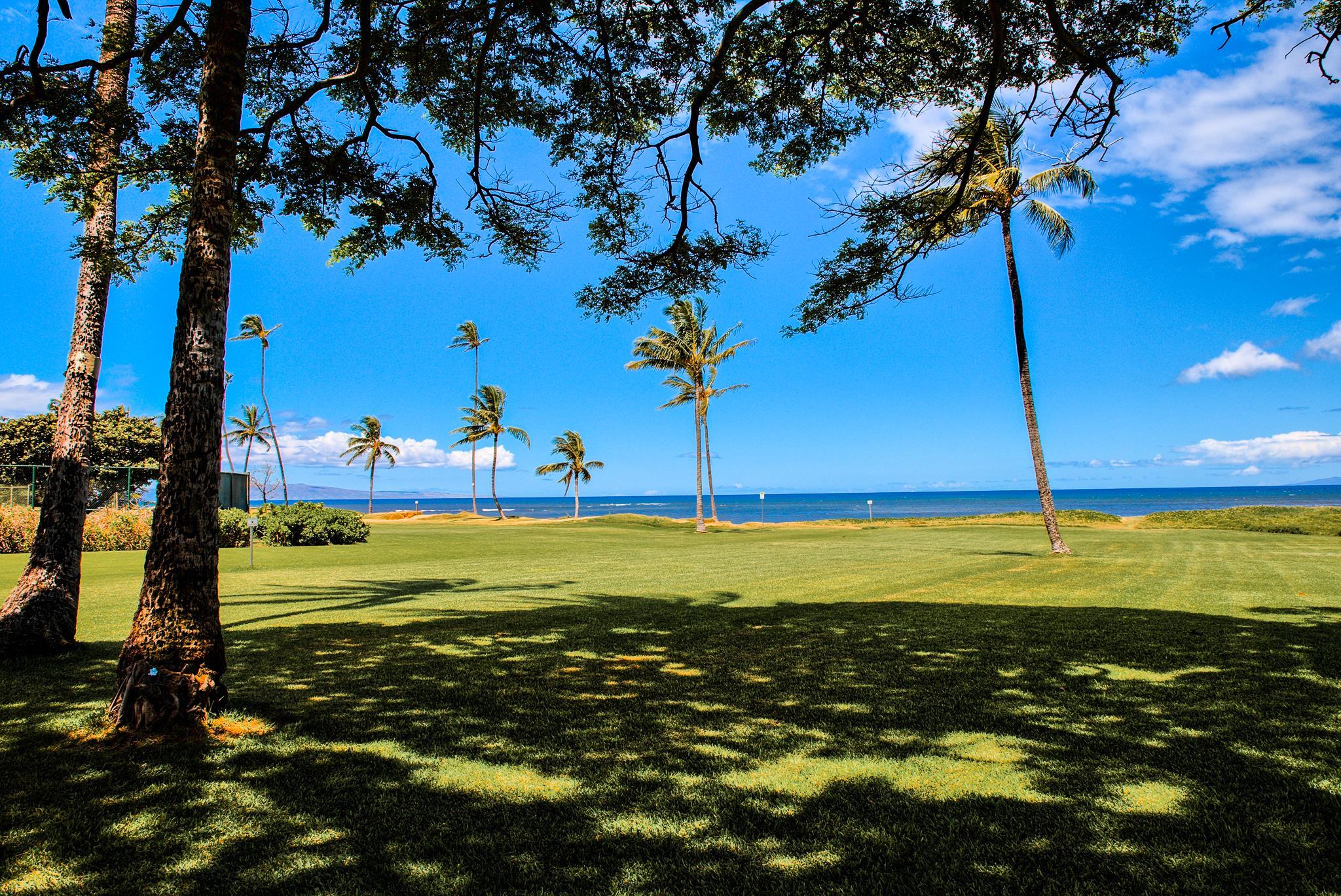 Waipuilani condo # 304, Kihei, Hawaii - photo 11 of 22