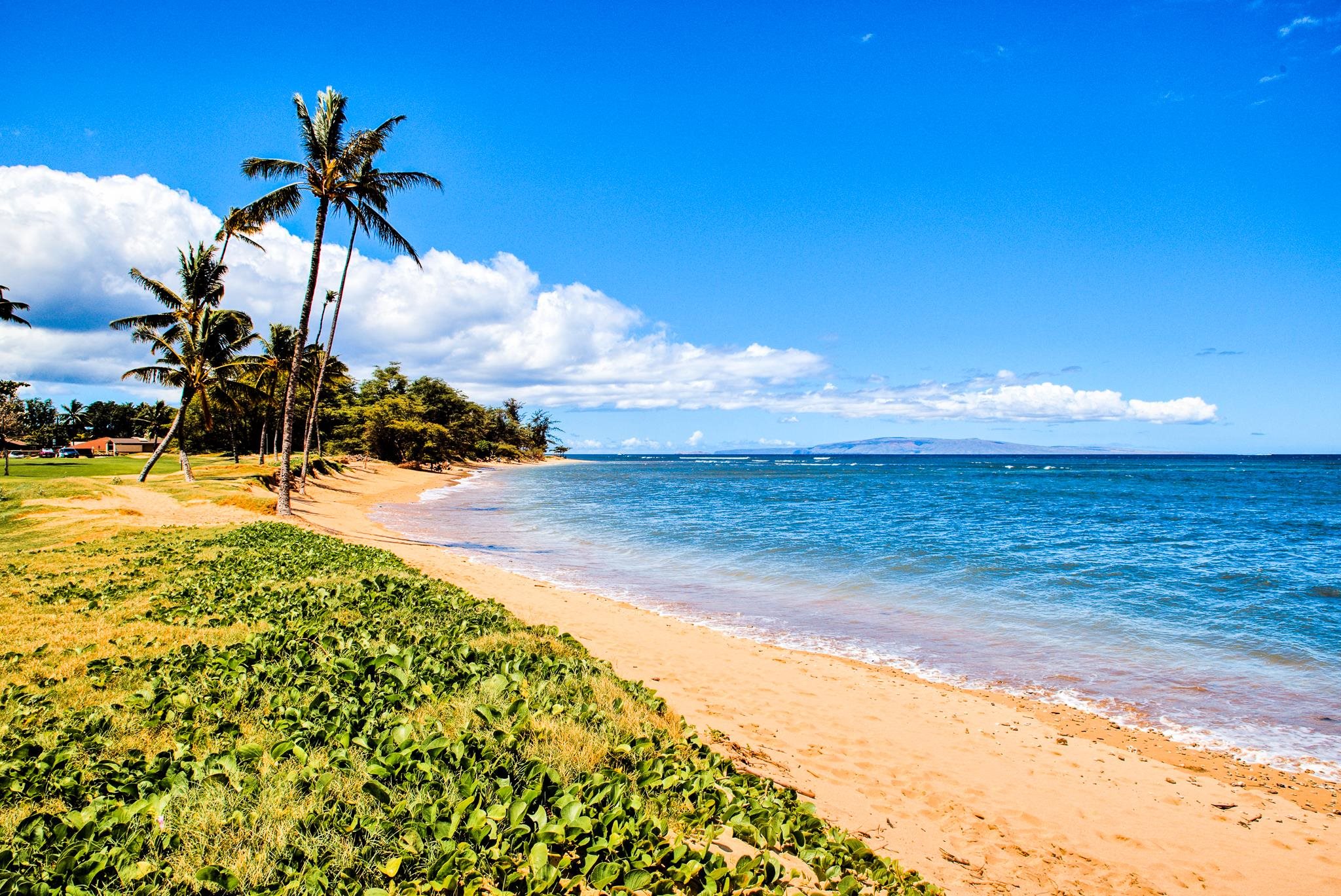 Waipuilani condo # 304, Kihei, Hawaii - photo 12 of 22