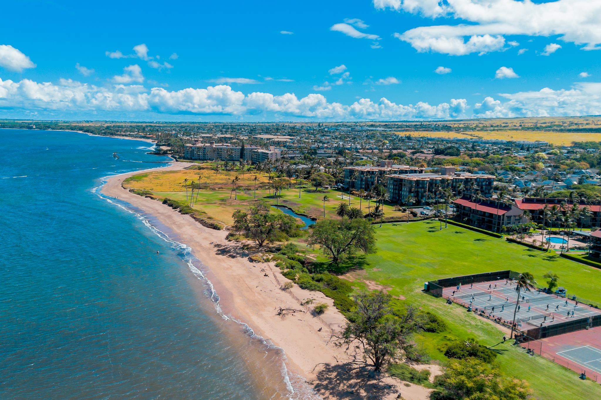 Waipuilani condo # 304, Kihei, Hawaii - photo 18 of 22