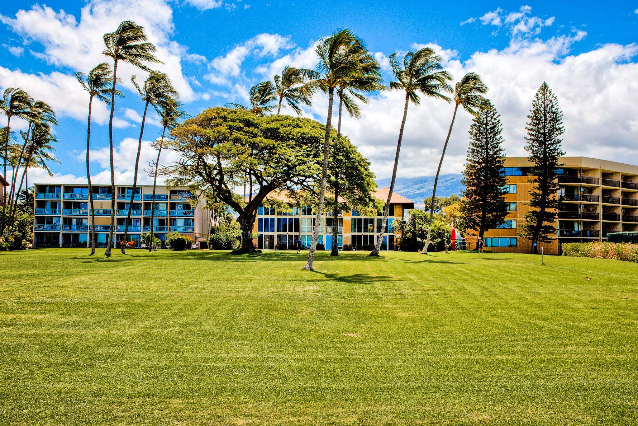Waipuilani condo # 304, Kihei, Hawaii - photo 9 of 22
