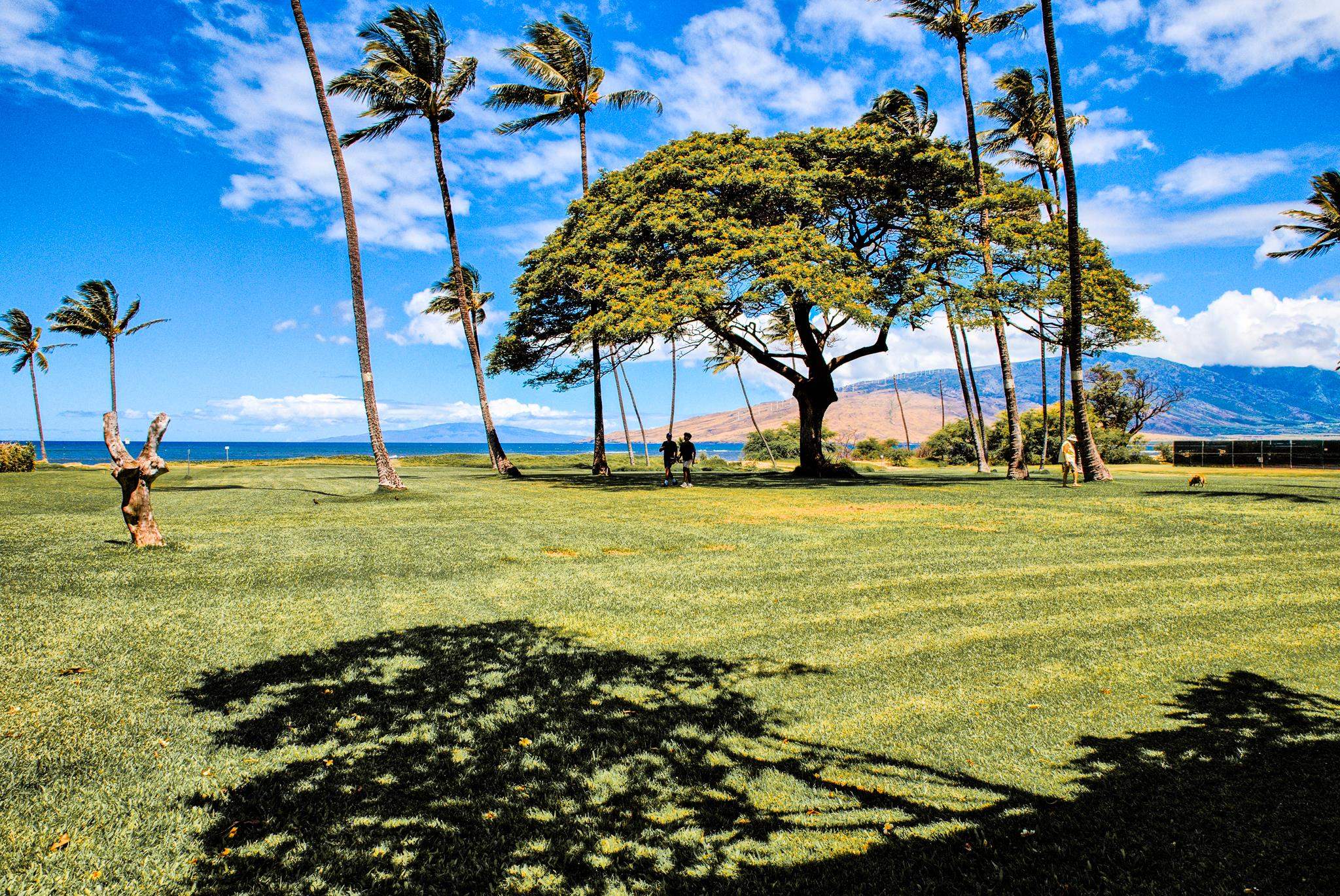 Waipuilani condo # 304, Kihei, Hawaii - photo 10 of 22