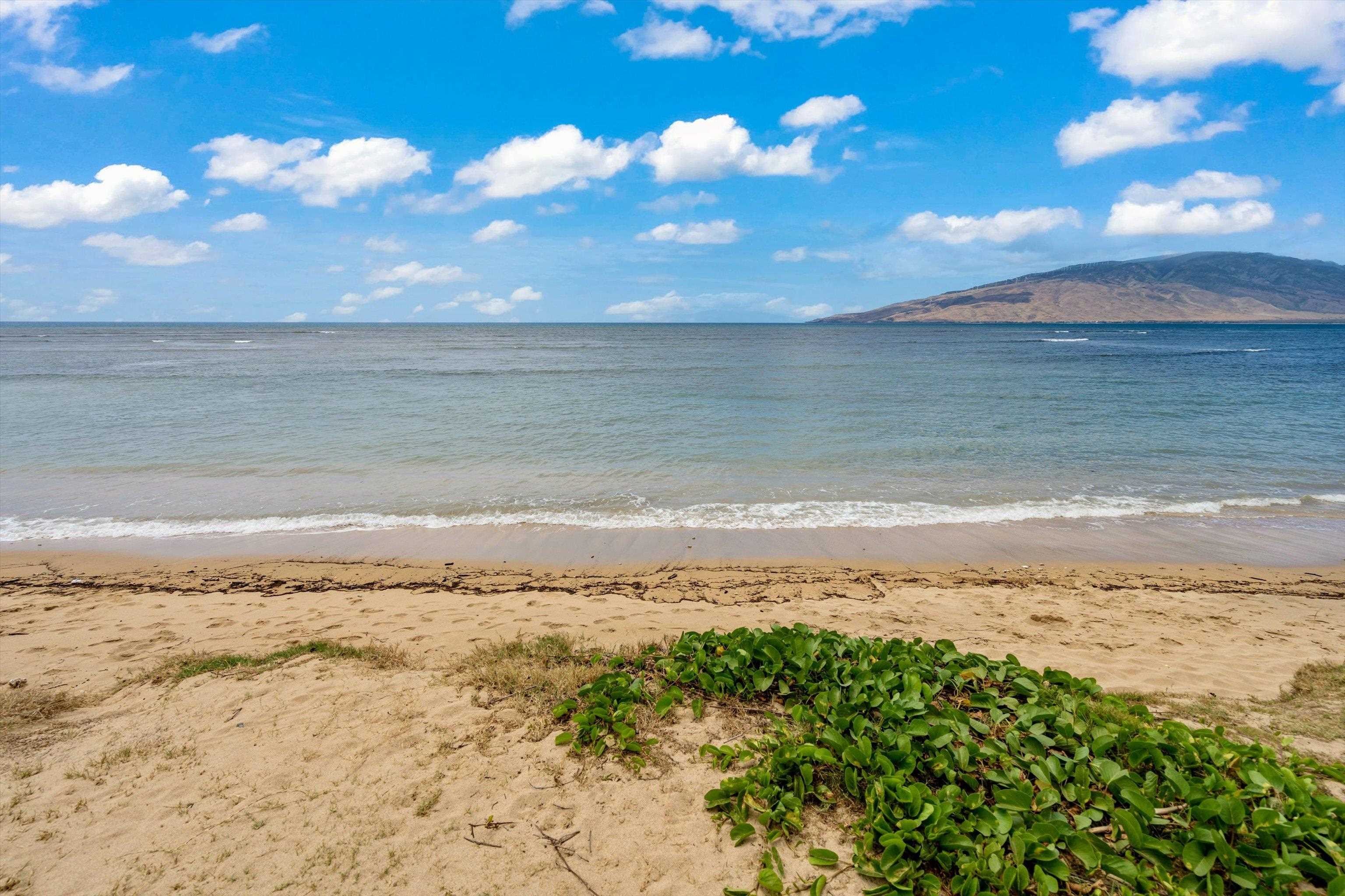 Waipuilani condo # 314, Kihei, Hawaii - photo 29 of 31