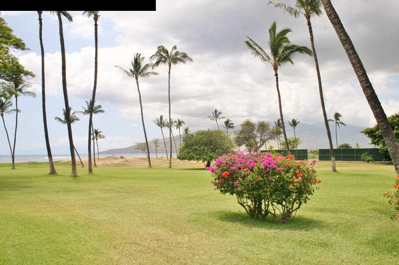 Waipuilani condo # 206, Kihei, Hawaii - photo 4 of 22