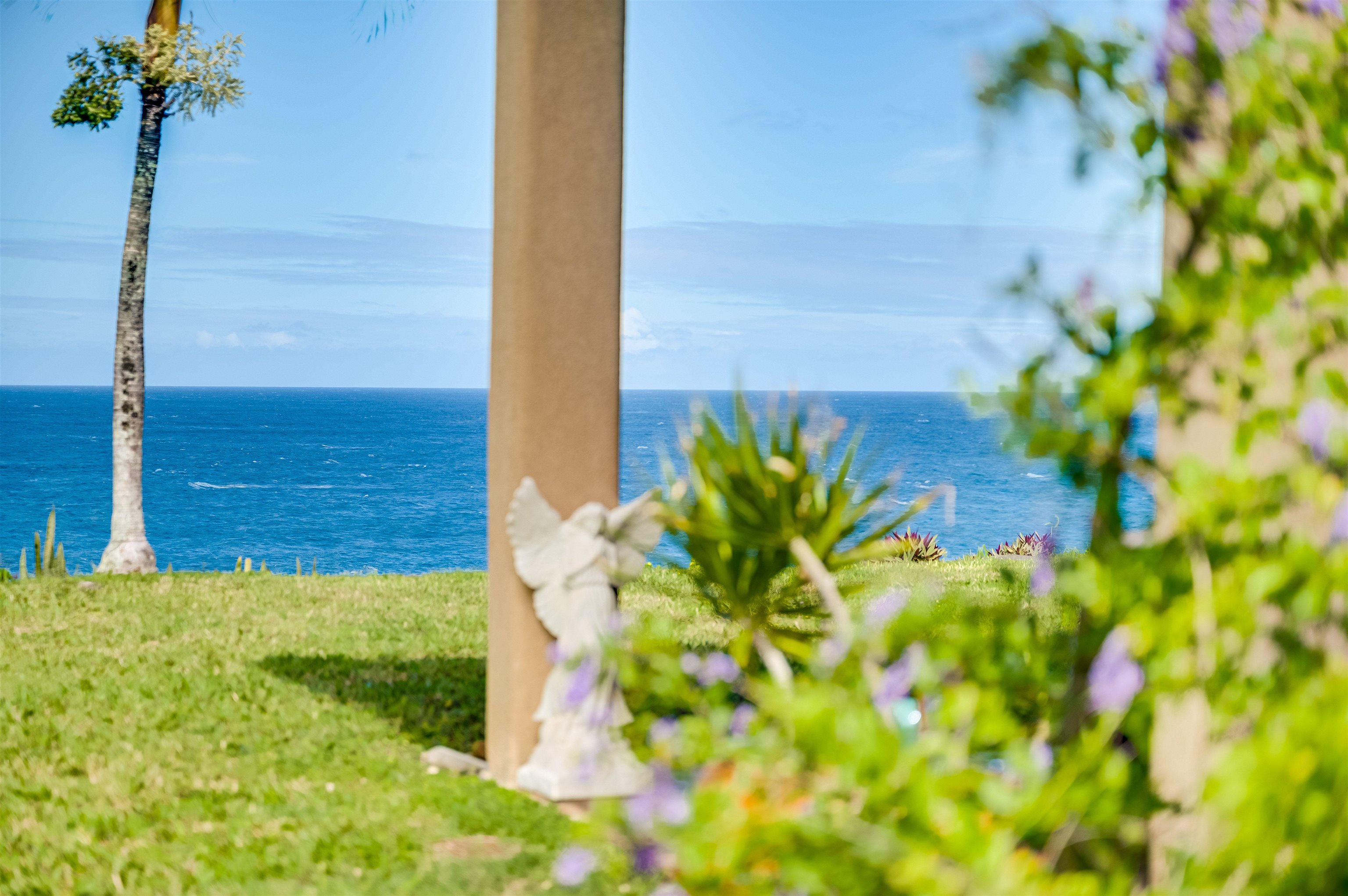 1004  Honokala Rd Huelo, Haiku home - photo 3 of 48