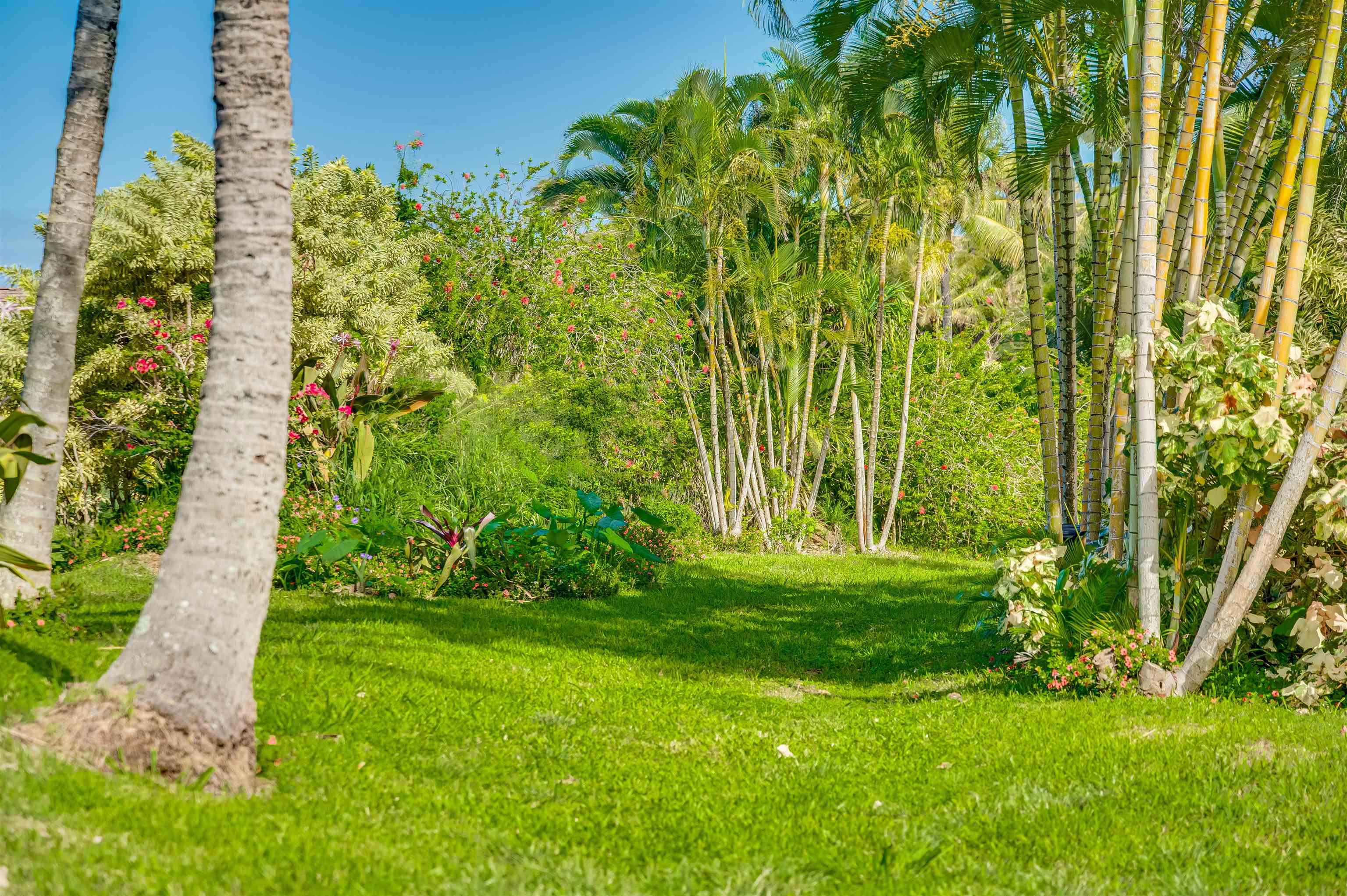 1004  Honokala Rd Huelo, Haiku home - photo 42 of 48