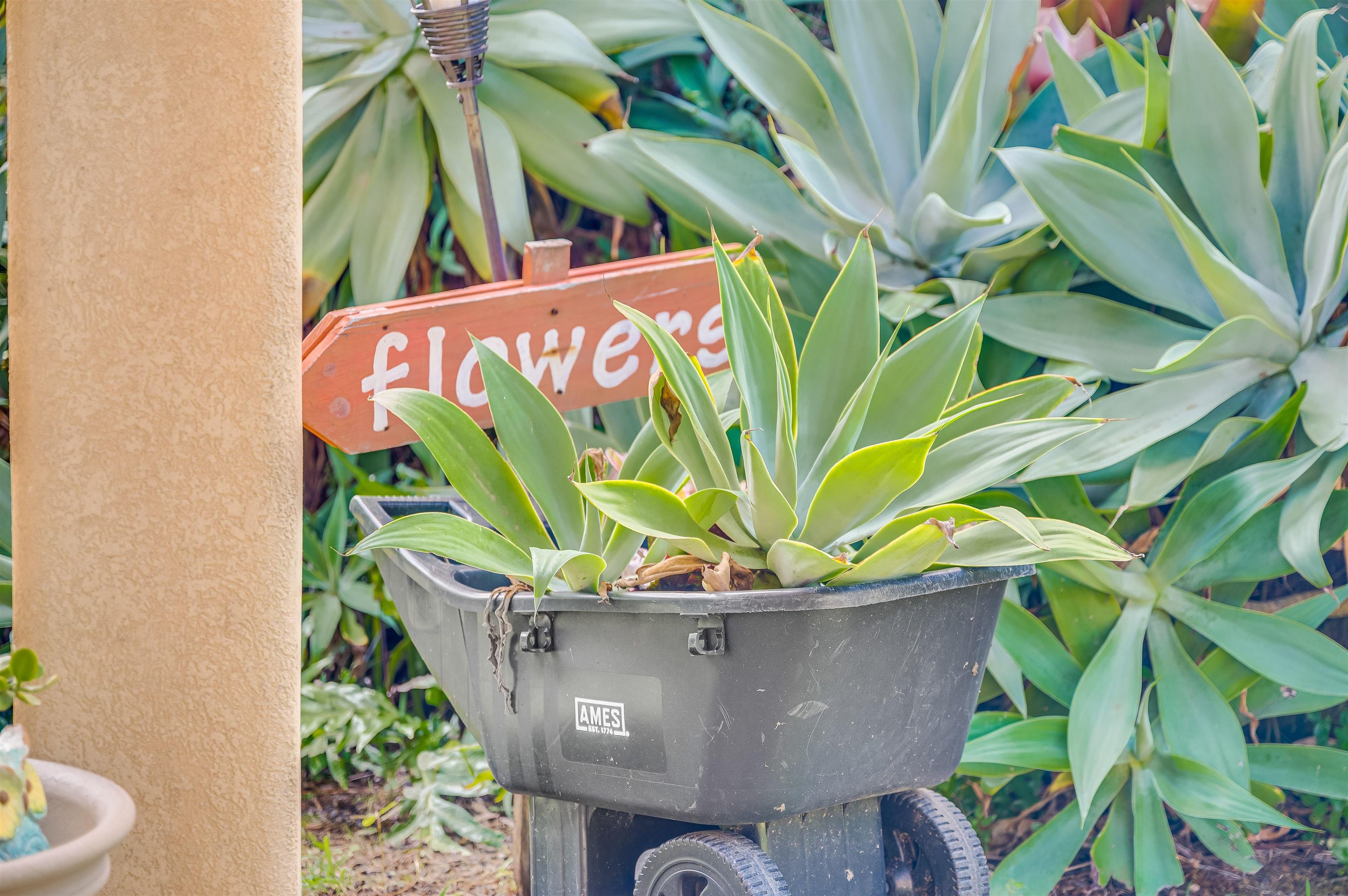 1004  Honokala Rd Huelo, Haiku home - photo 43 of 49