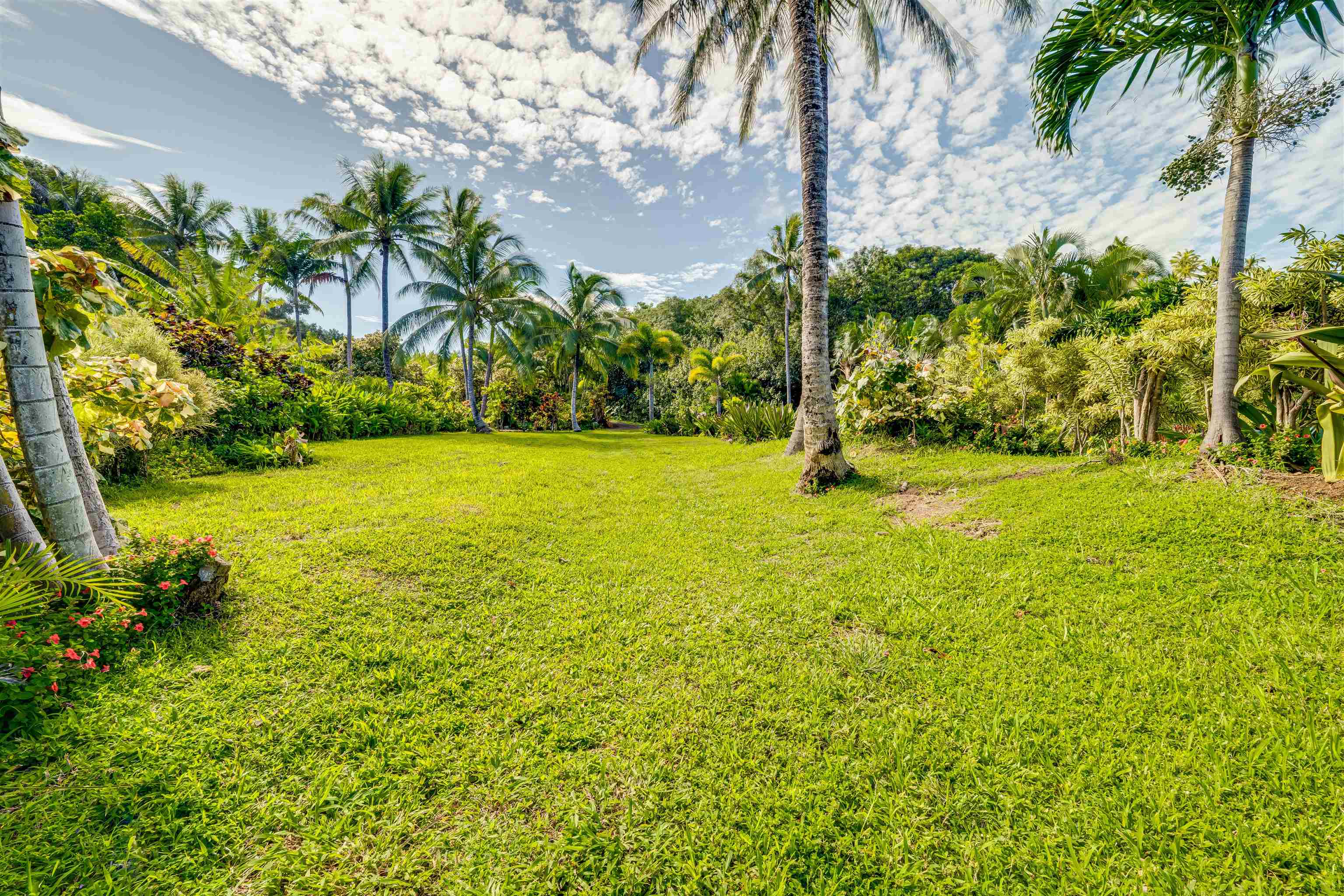 1004  Honokala Rd Huelo, Haiku home - photo 47 of 49