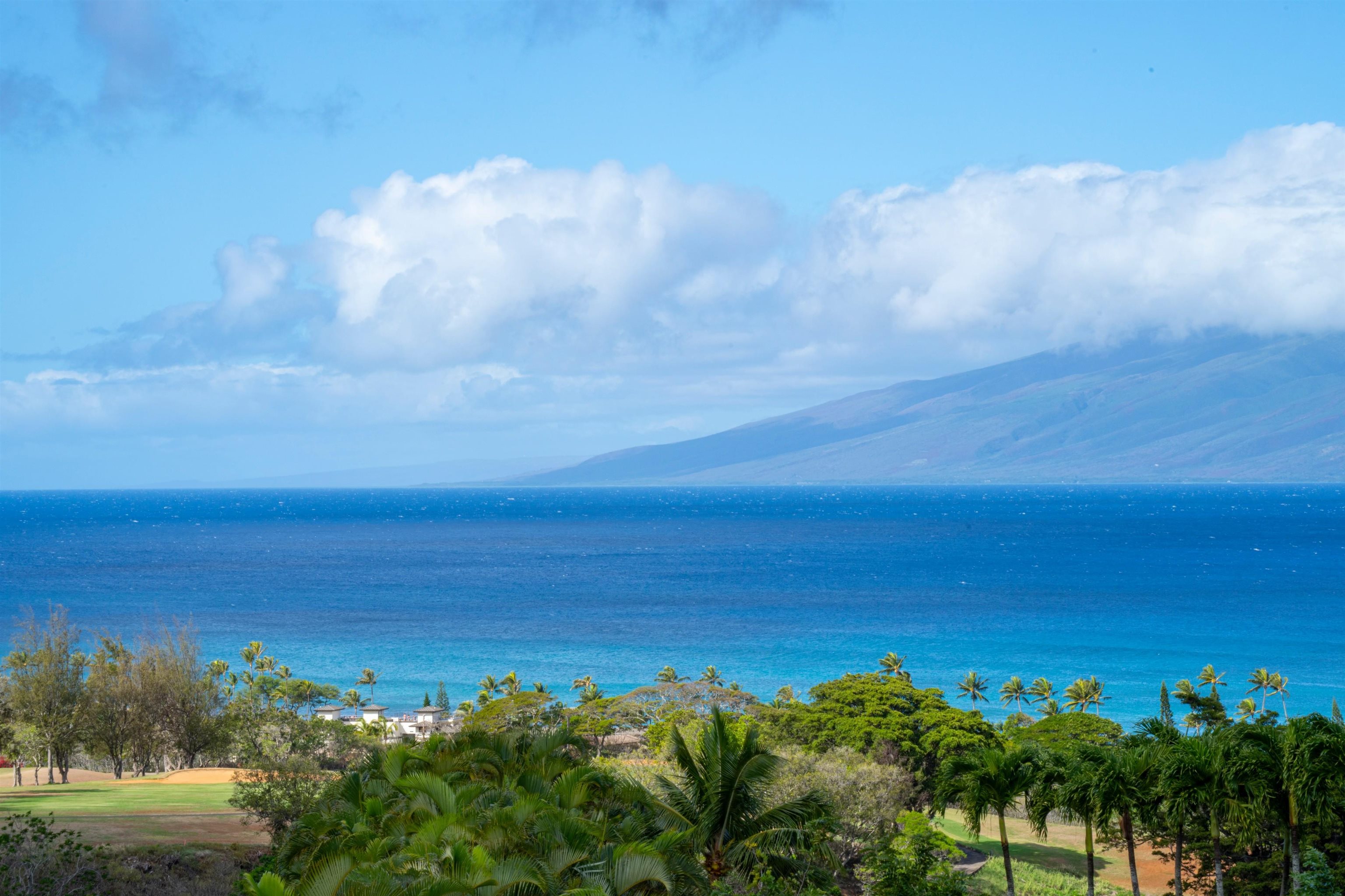 1008  Sunset Pl Pineapple Hill, Kapalua home - photo 10 of 50