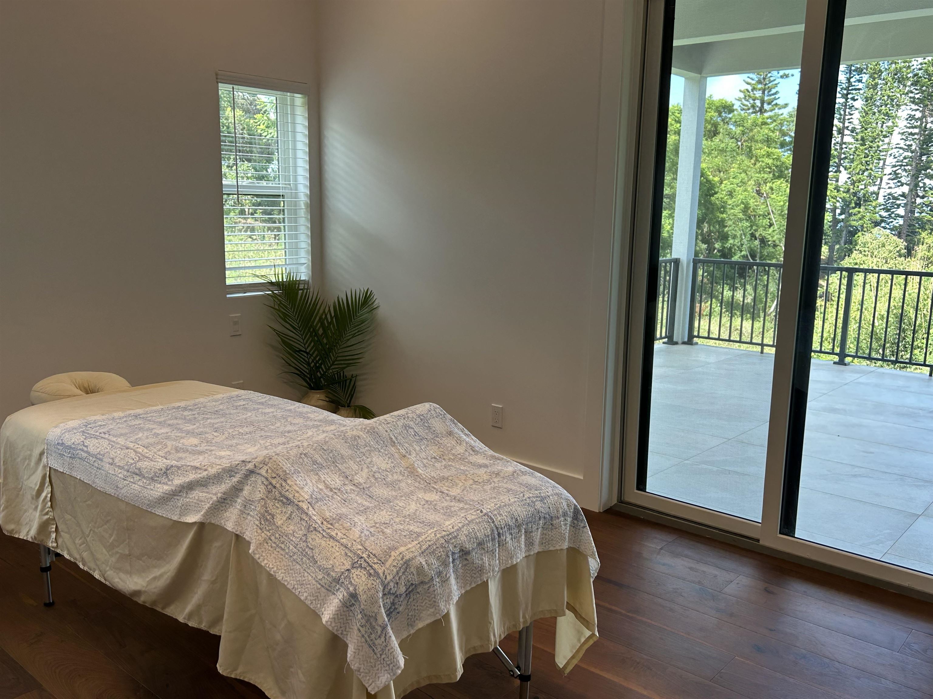 101  Elepaio Pl , Kula/Ulupalakua/Kanaio home - photo 34 of 43