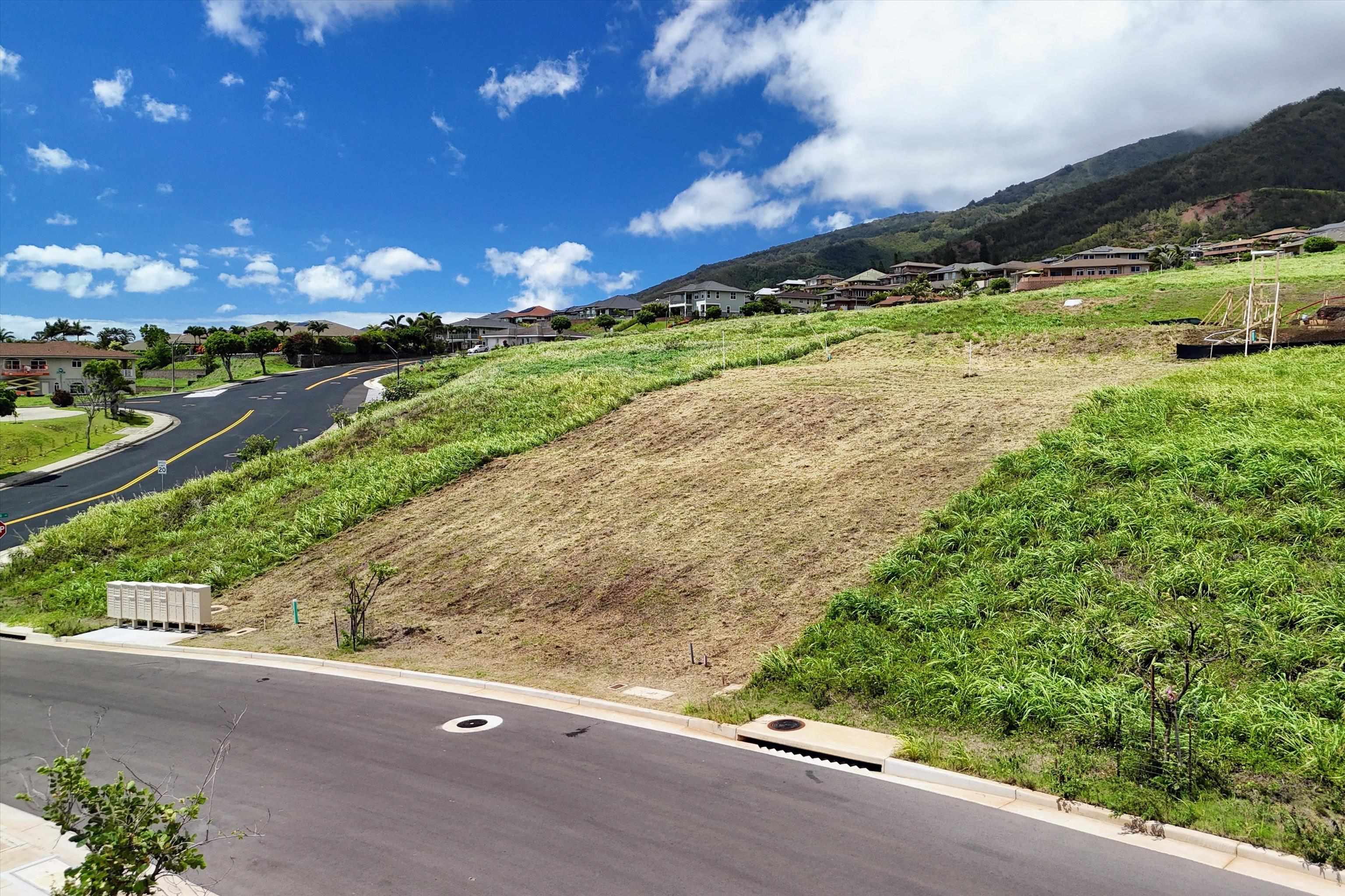 101 Hopo'i Pl 51B Wailuku, Hi vacant land for sale - photo 22 of 27