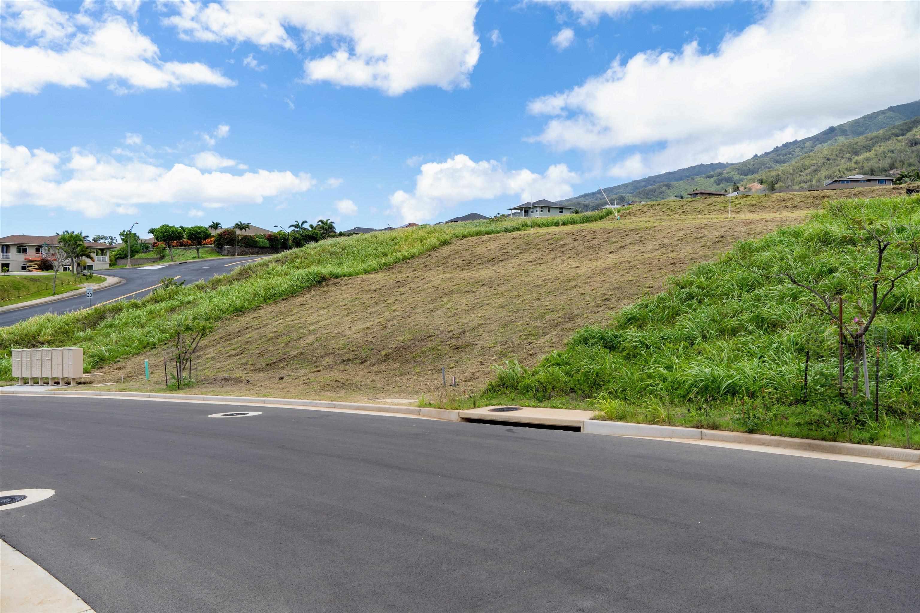 101 Hopo'i Pl 51B Wailuku, Hi vacant land for sale - photo 24 of 27