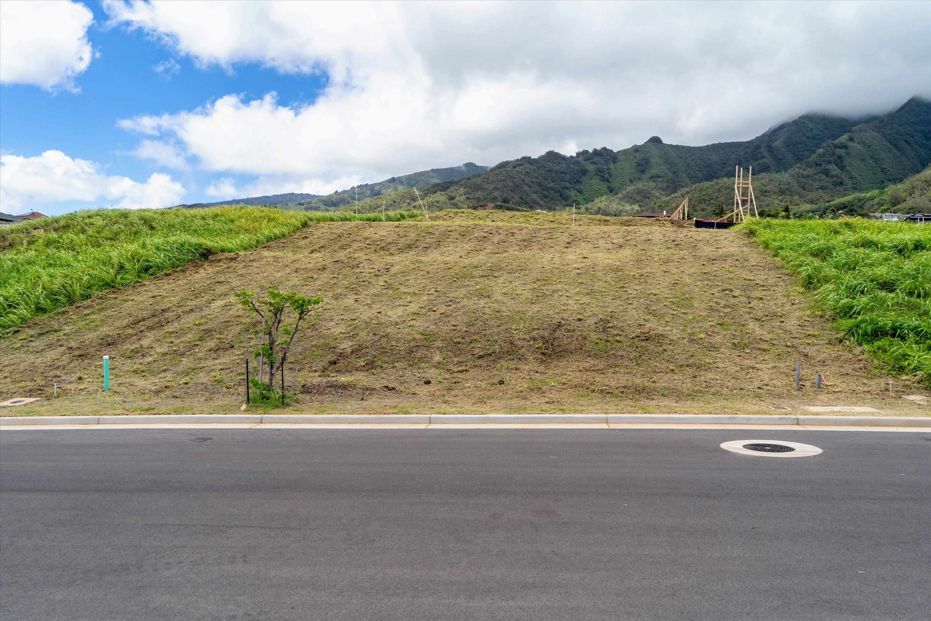 101 Hopo'i Pl 51B Wailuku, Hi vacant land for sale - photo 25 of 27