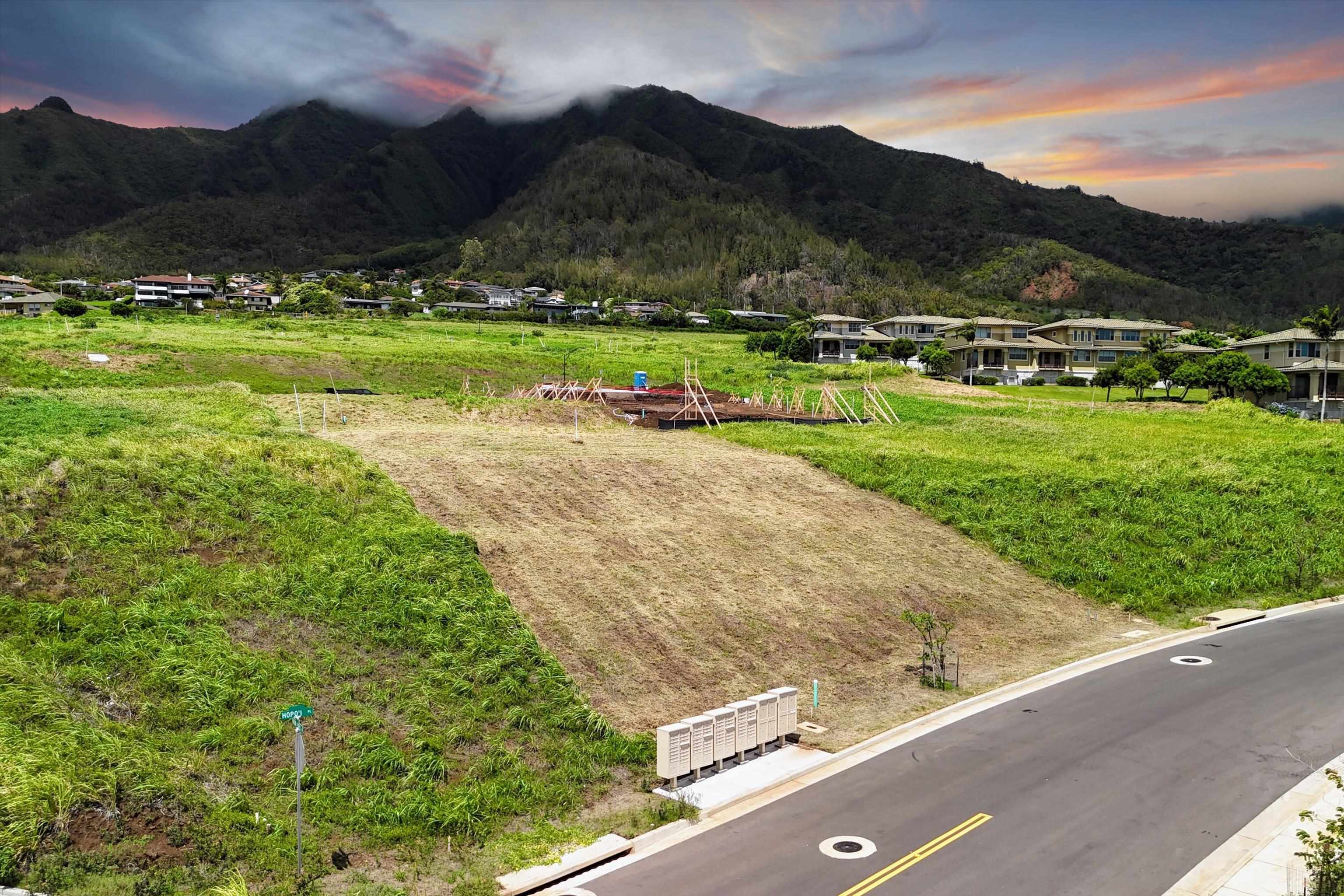 101 Hopo'i Pl 51B Wailuku, Hi vacant land for sale - photo 5 of 27