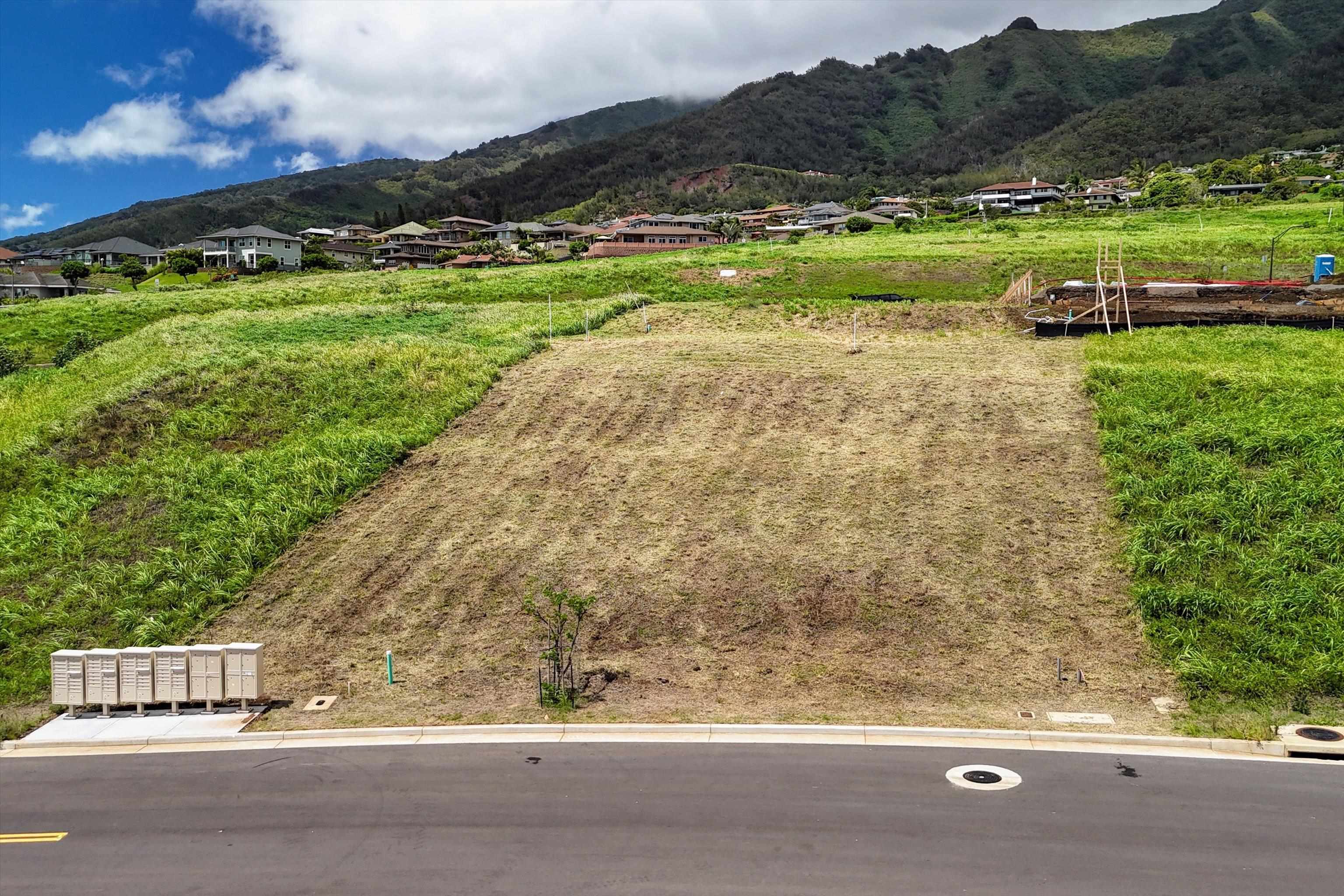 101 Hopo'i Pl 51B Wailuku, Hi vacant land for sale - photo 6 of 27