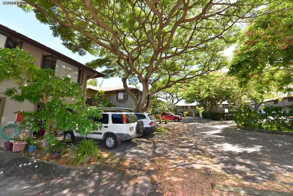 Kipa Village condo # A2, Lahaina, Hawaii - photo 27 of 30