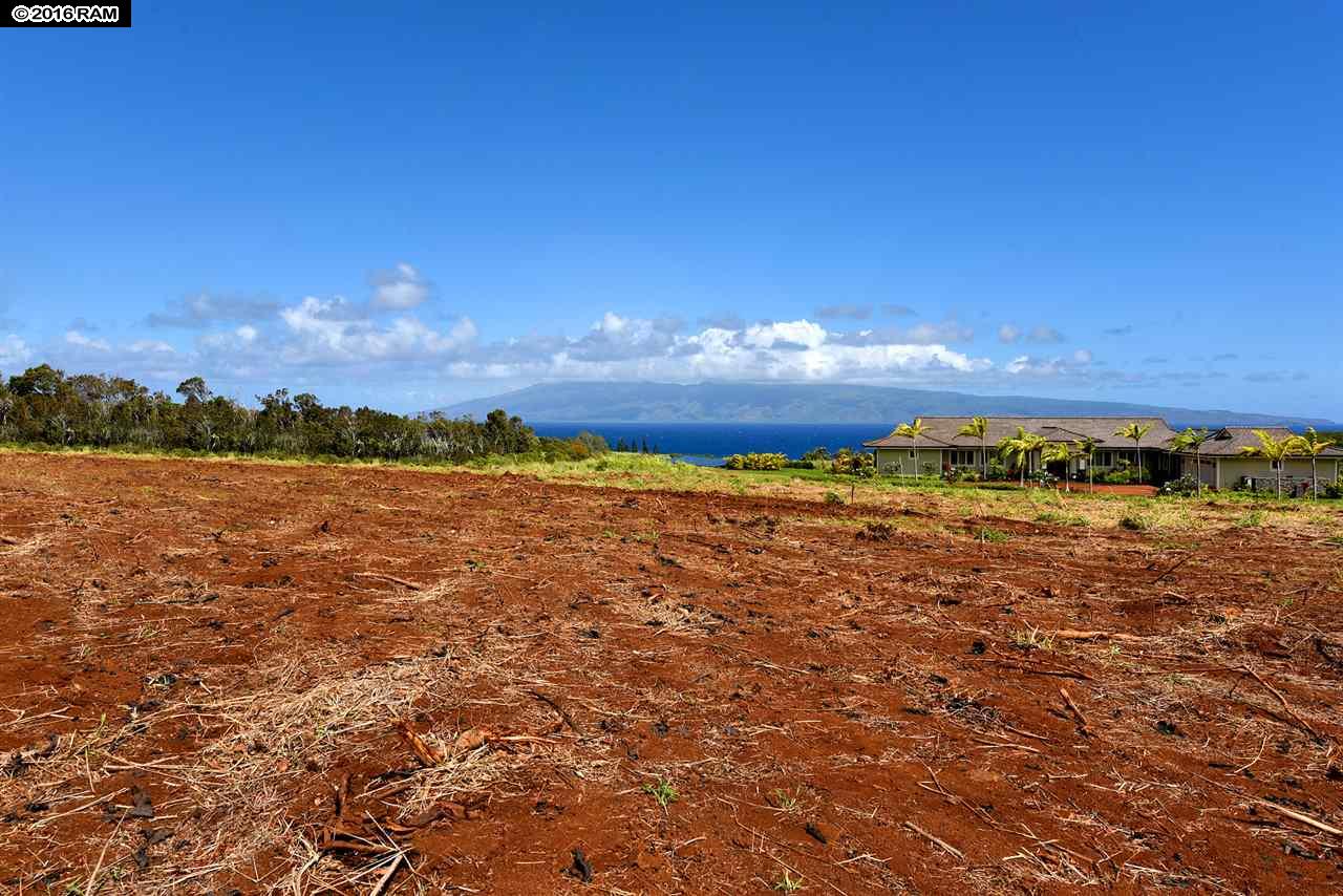 101 Keoawa Pl Honolua Ridge I, # 4 Lahaina, Hi vacant land for sale - photo 11 of 30