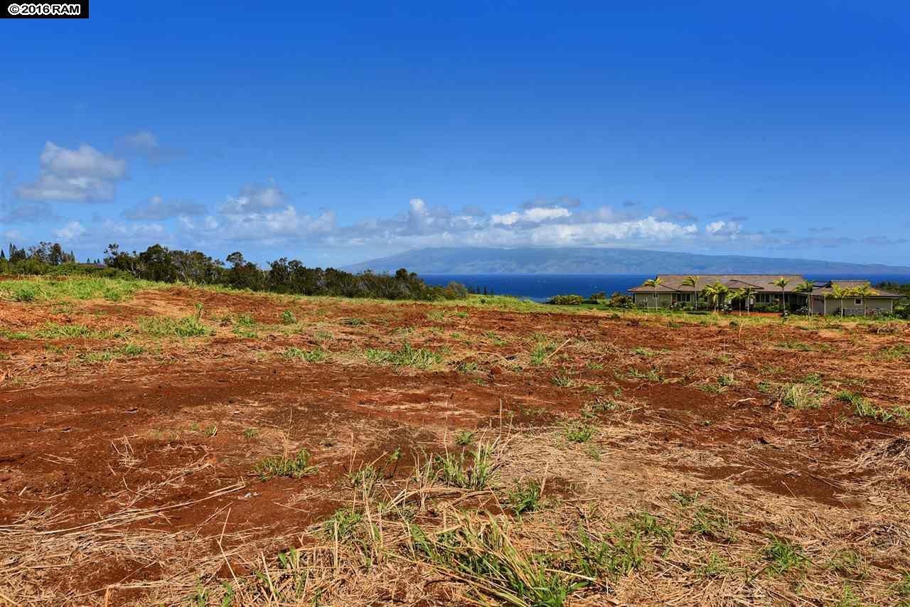 101 Keoawa Pl Honolua Ridge I, # 4 Lahaina, Hi vacant land for sale - photo 12 of 30