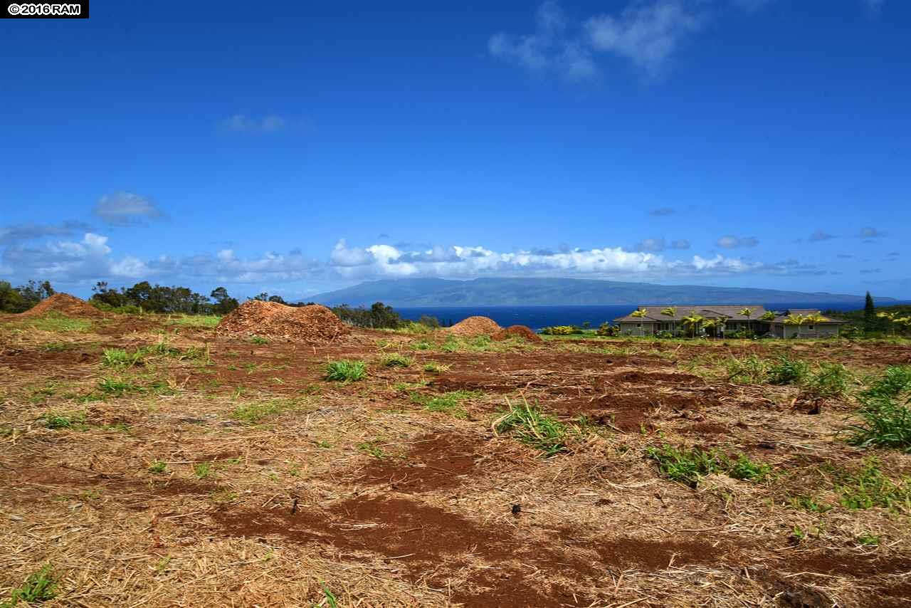 101 Keoawa Pl Honolua Ridge I, # 4 Lahaina, Hi vacant land for sale - photo 13 of 30